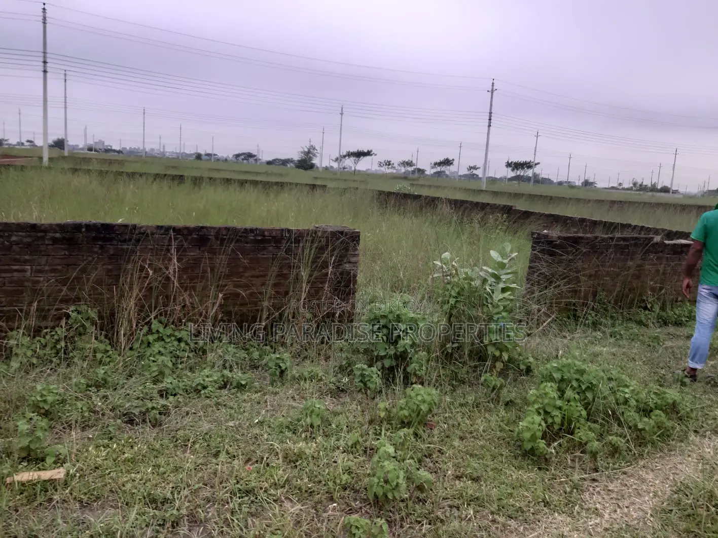 P-Extension || South Face || 4 Katha Plot || Urgent Sale in Basundhara