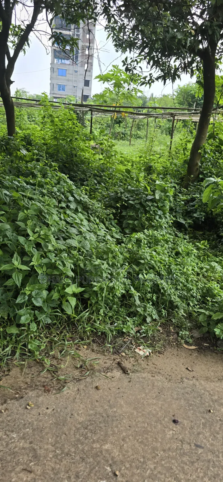 Rajuk Purbachal Sector-9 Govt. Service Plot Sell in Purbachal