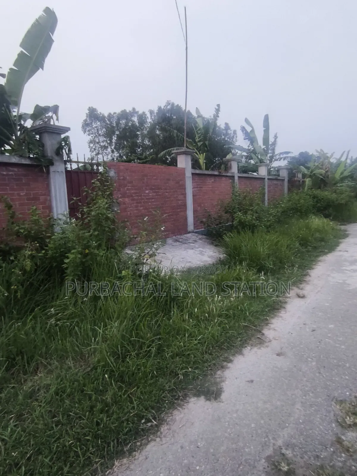 Sector 16, Near Iba Club Excellent 5 Katha Plot Sale in Purbachal. in Purbachal
