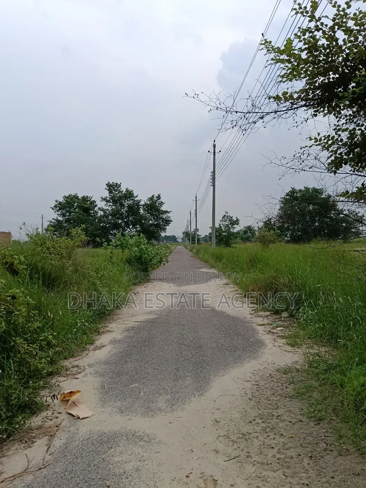 Bashundhara Block-P, 5 Katha Plot Sale in Basundhara