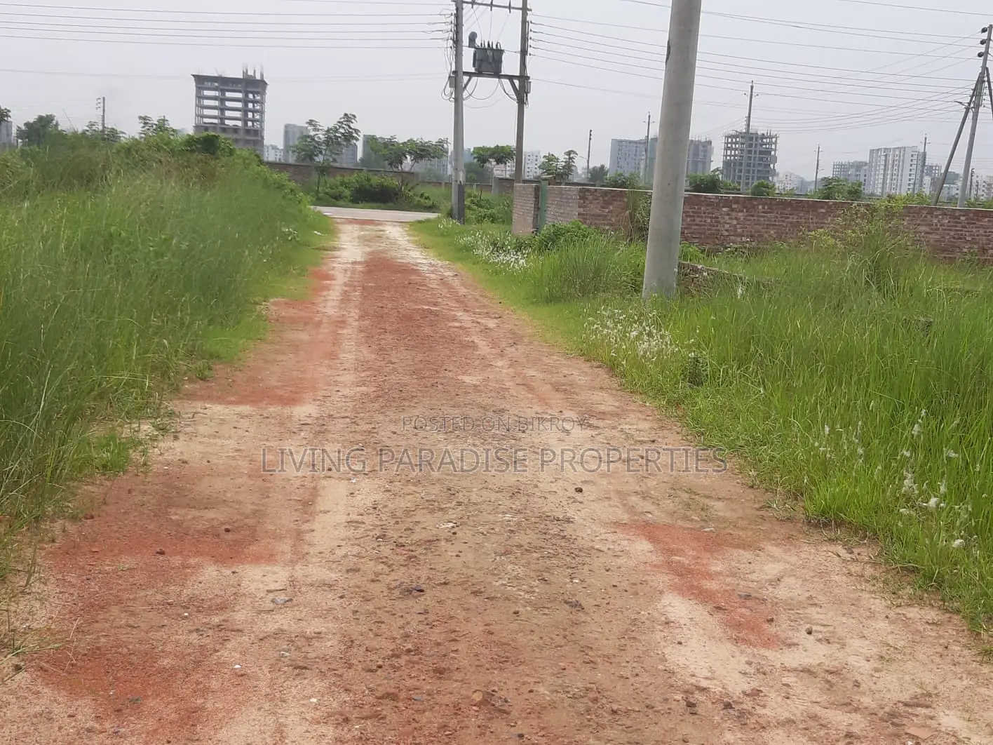 M=Block || South Face || 5 Katha Plot || Urgent Sale in Basundhara