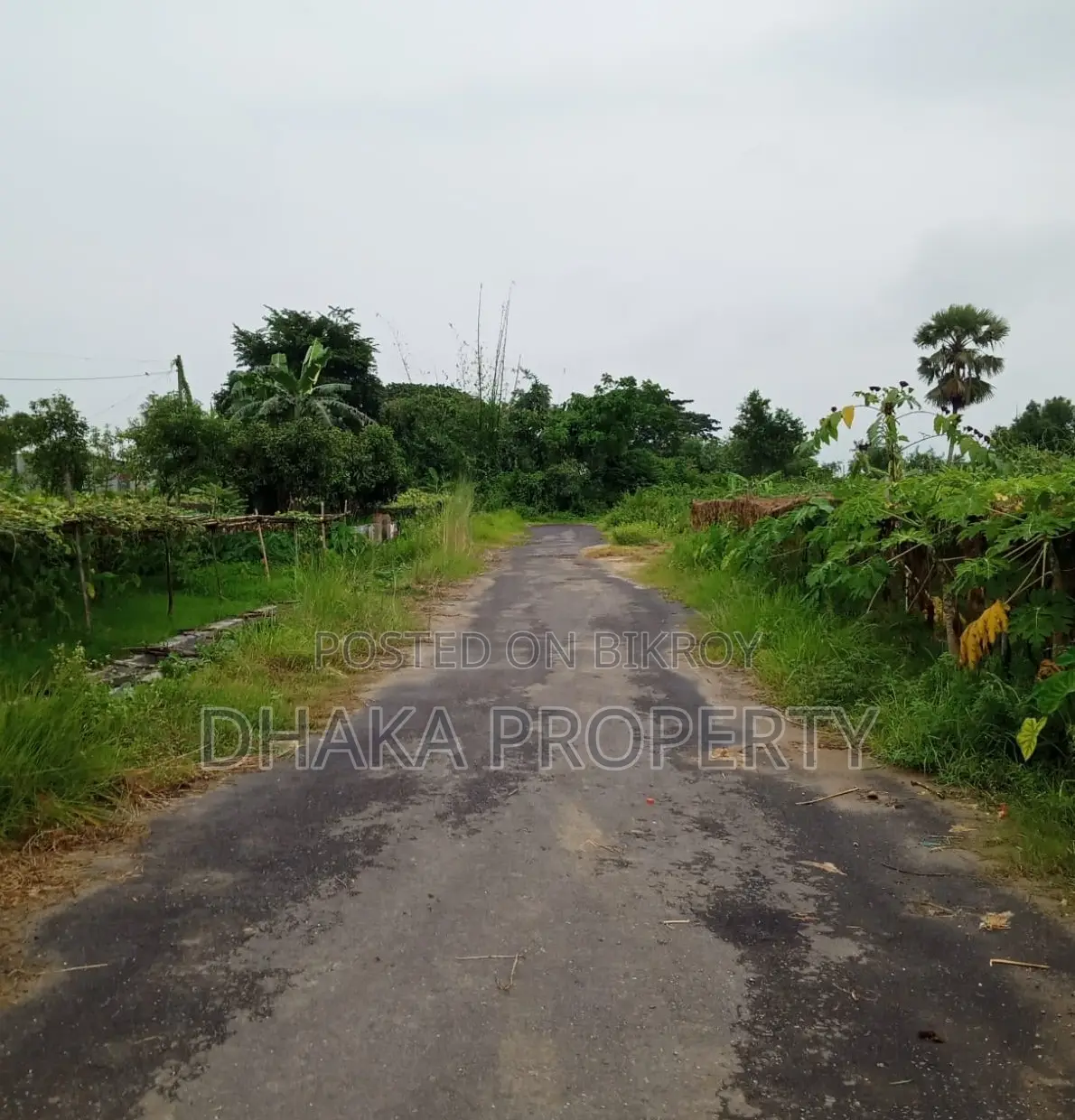 300ft Expressway 3 Katha East at Sector-9 in Purbachal