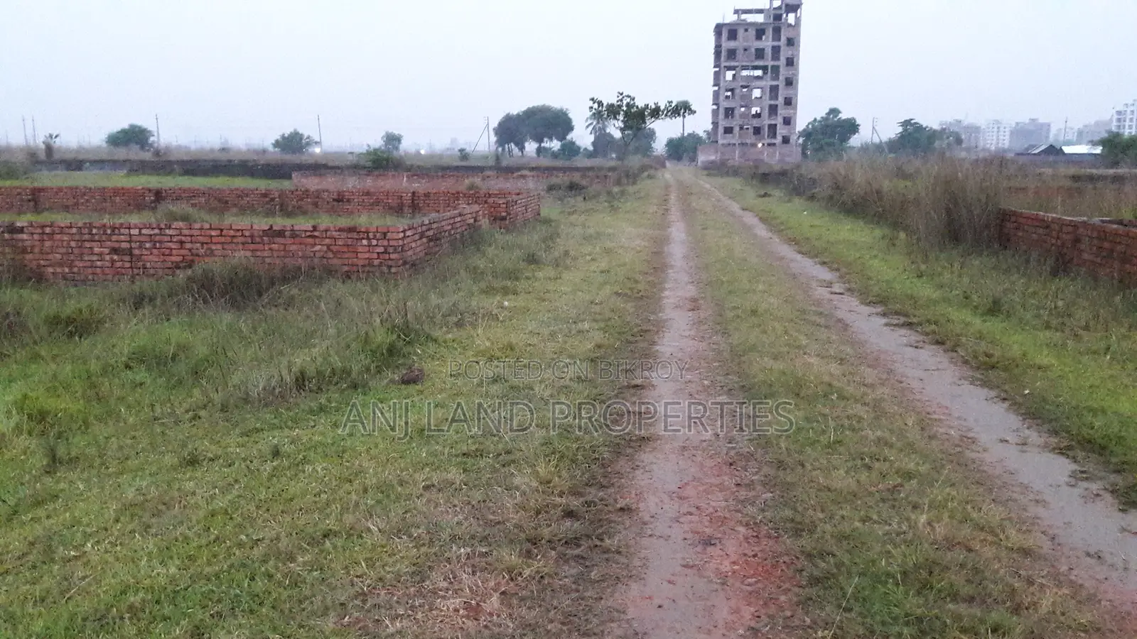 P-Block 4-Katha Plot Sale in Basundhara