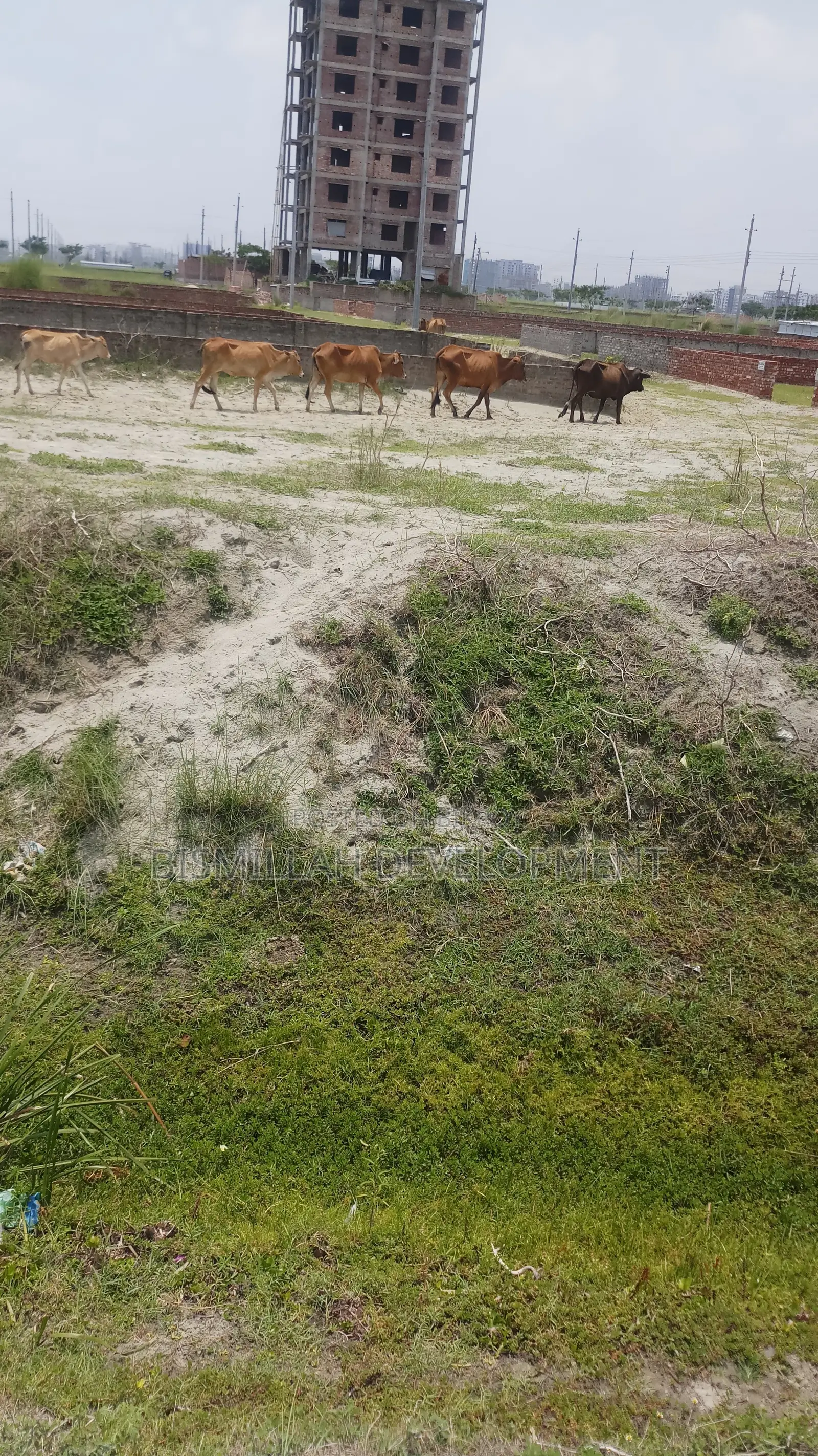 Land Sale at Bashundhara R/A in Basundhara