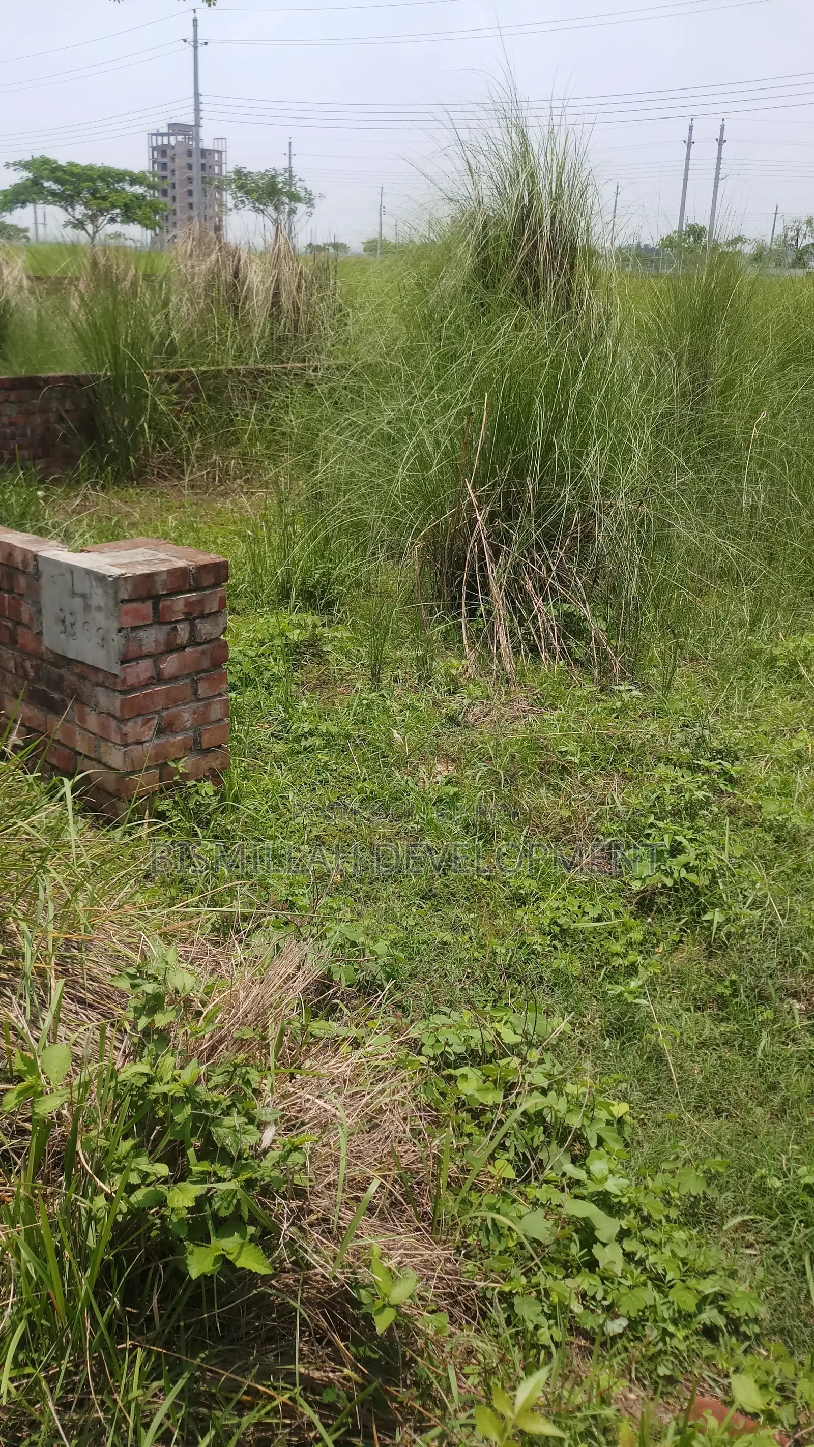 Land Sale at Bashundhara in Basundhara