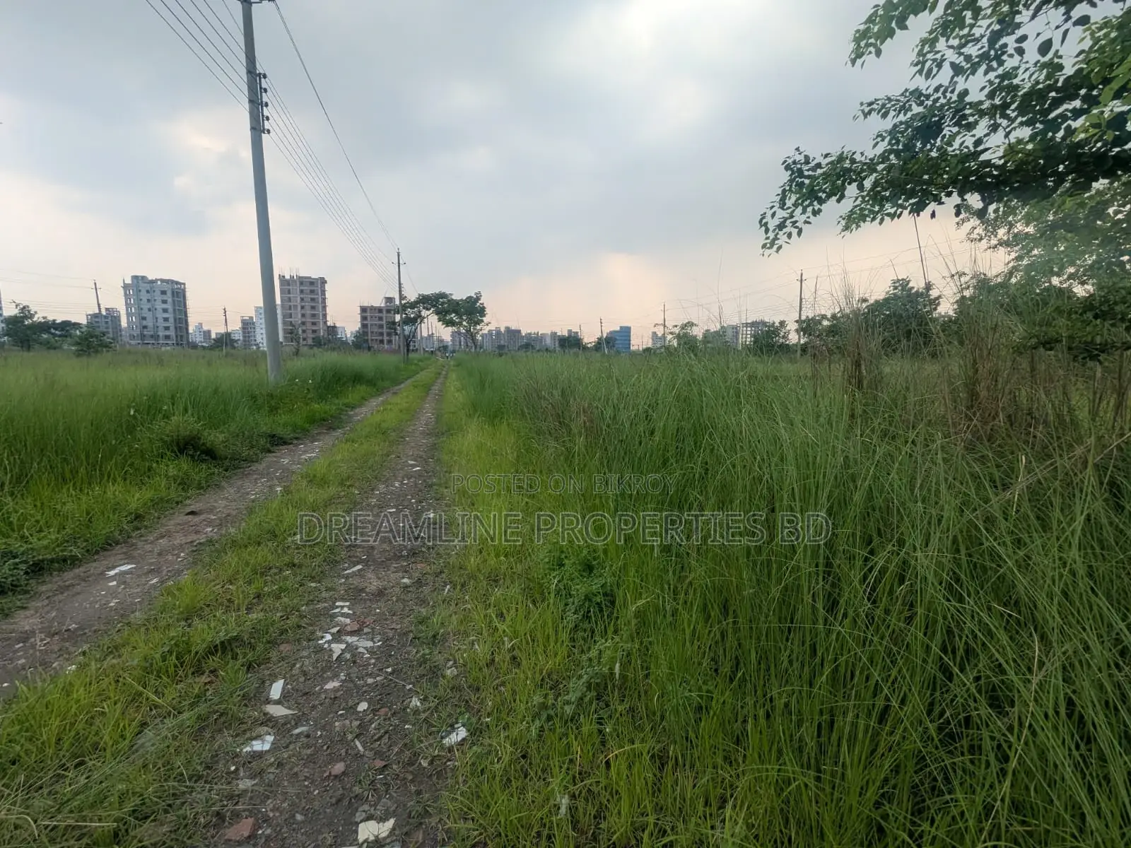 3 Katha South Facing Plot for Sale in N Block, Bashundhara R/A in Basundhara