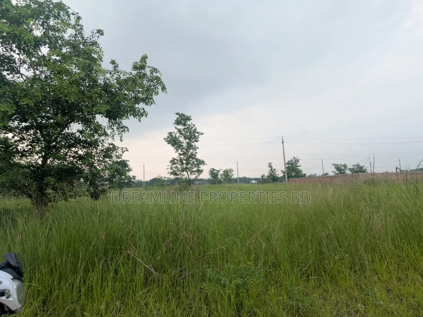 3 Katha South Facing Plot for Sale in N Block, Bashundhara R/A in Basundhara