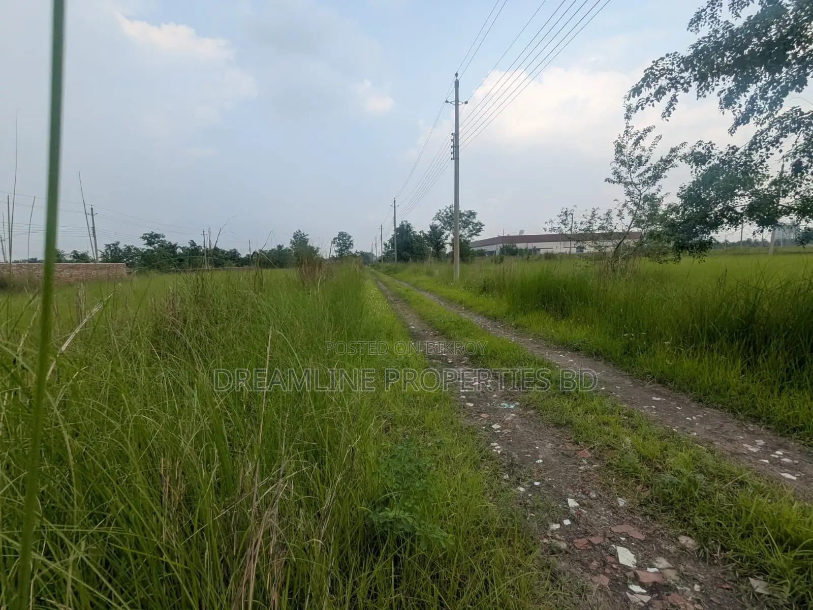 3 Katha South Facing Plot for Sale in N Block, Bashundhara R/A in Basundhara
