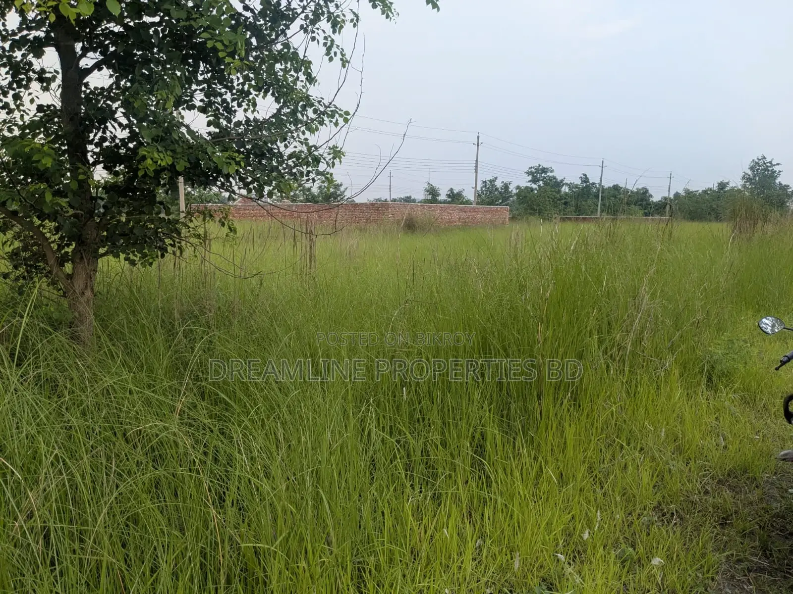 3 Katha South Facing Plot for Sale in N Block, Bashundhara R/A in Basundhara