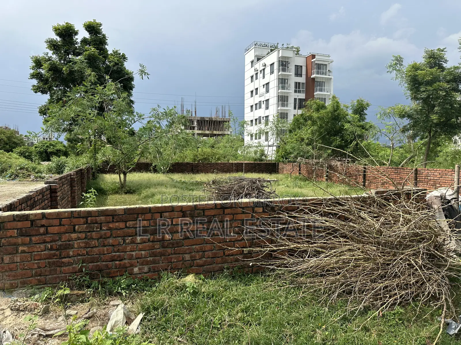 Block-N, 3-Katha, South-facing, Near Central Mosque Bashundhara R/A in Basundhara