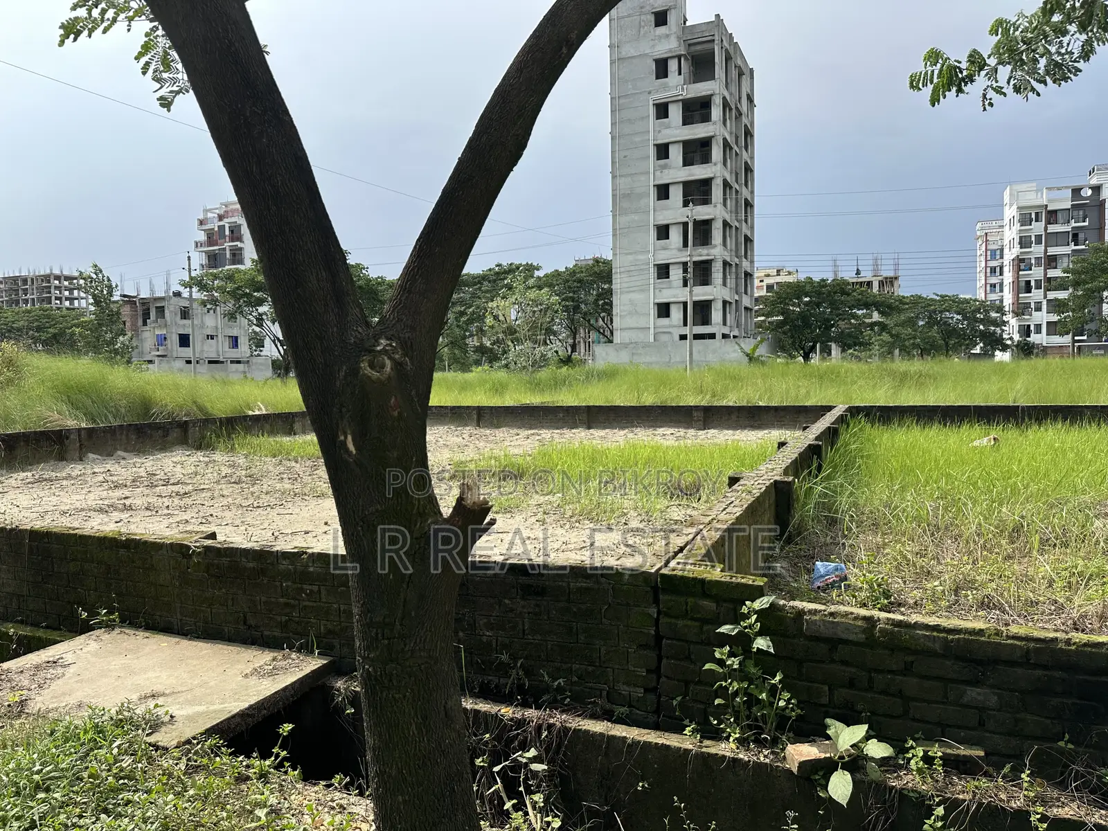 Block-N, 3-Katha, South-facing, Near Central Mosque Bashundhara R/A in Basundhara