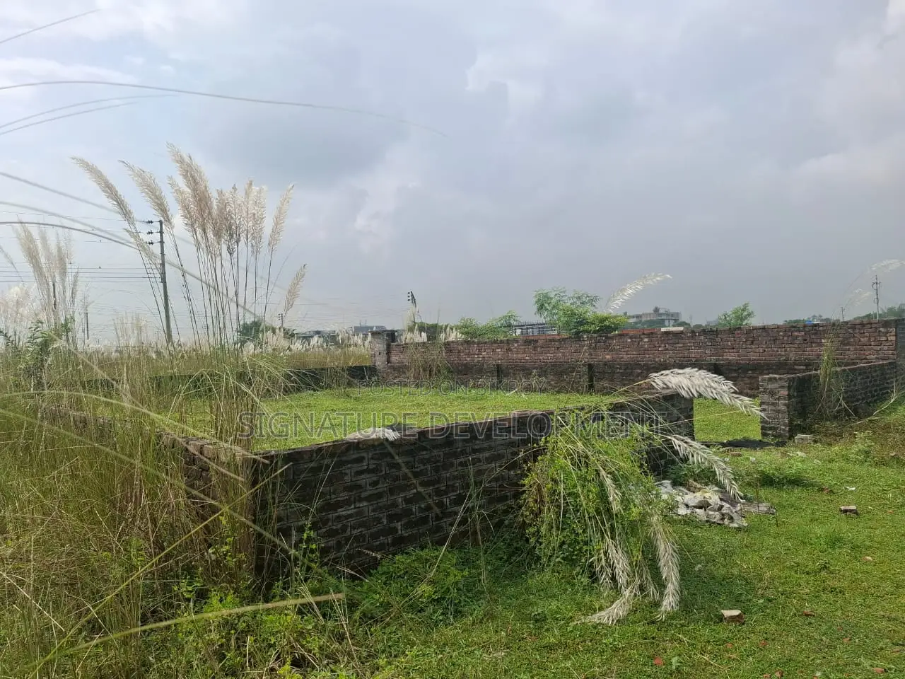 P-block // 5 Katha // South-facing // Plot Sale // Bashundhara R/A in Basundhara