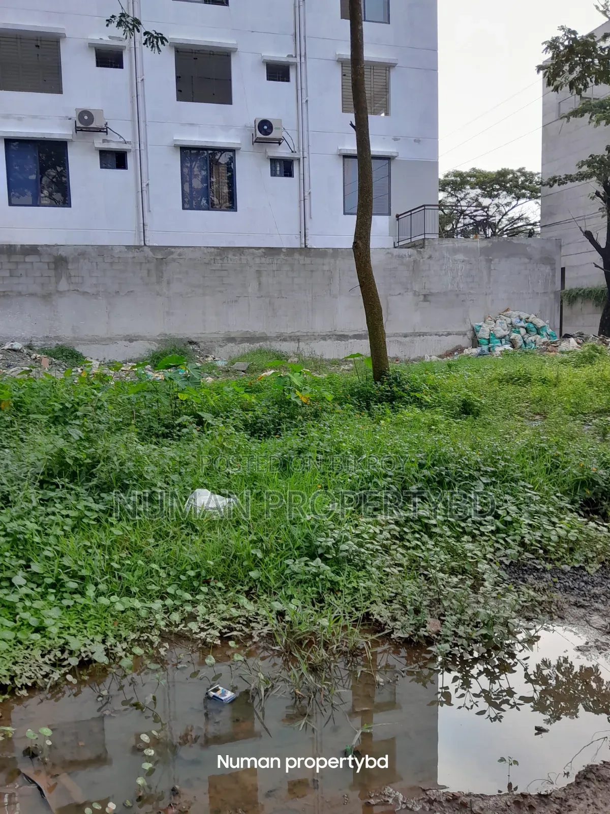 5 Katha South Facing Plot for Sale in Basundhara