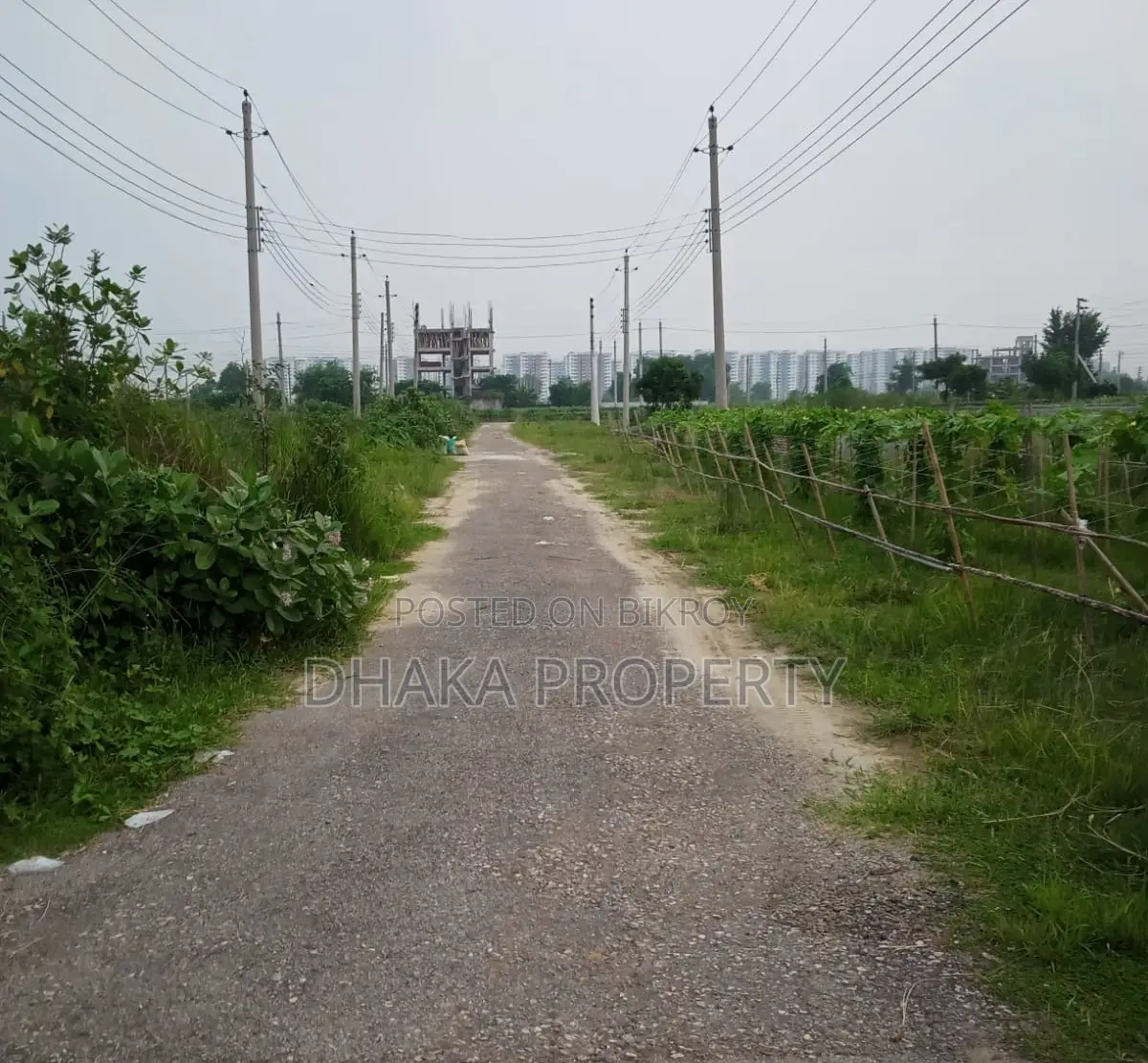 60ft Rd 5 Katha Lake North at Sector-16/C in Uttara