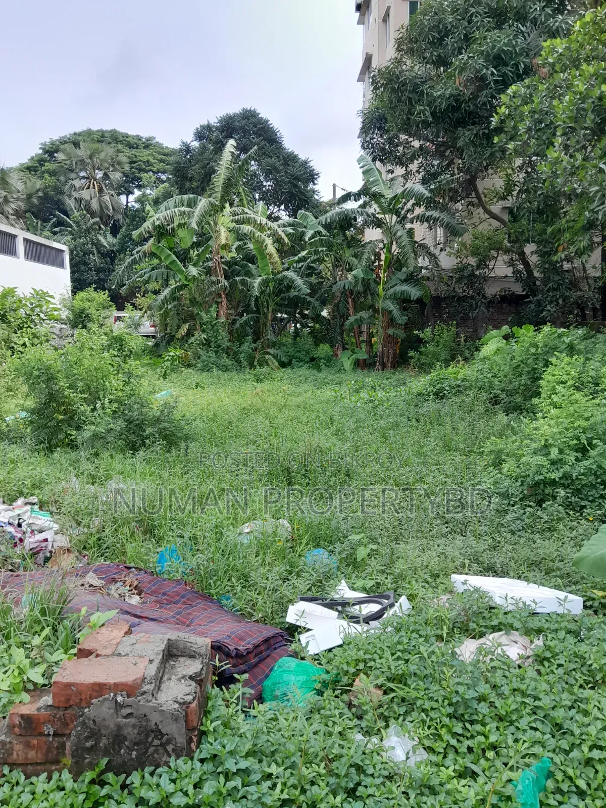 5 Katha South Facing Plot for Sale in Basundhara