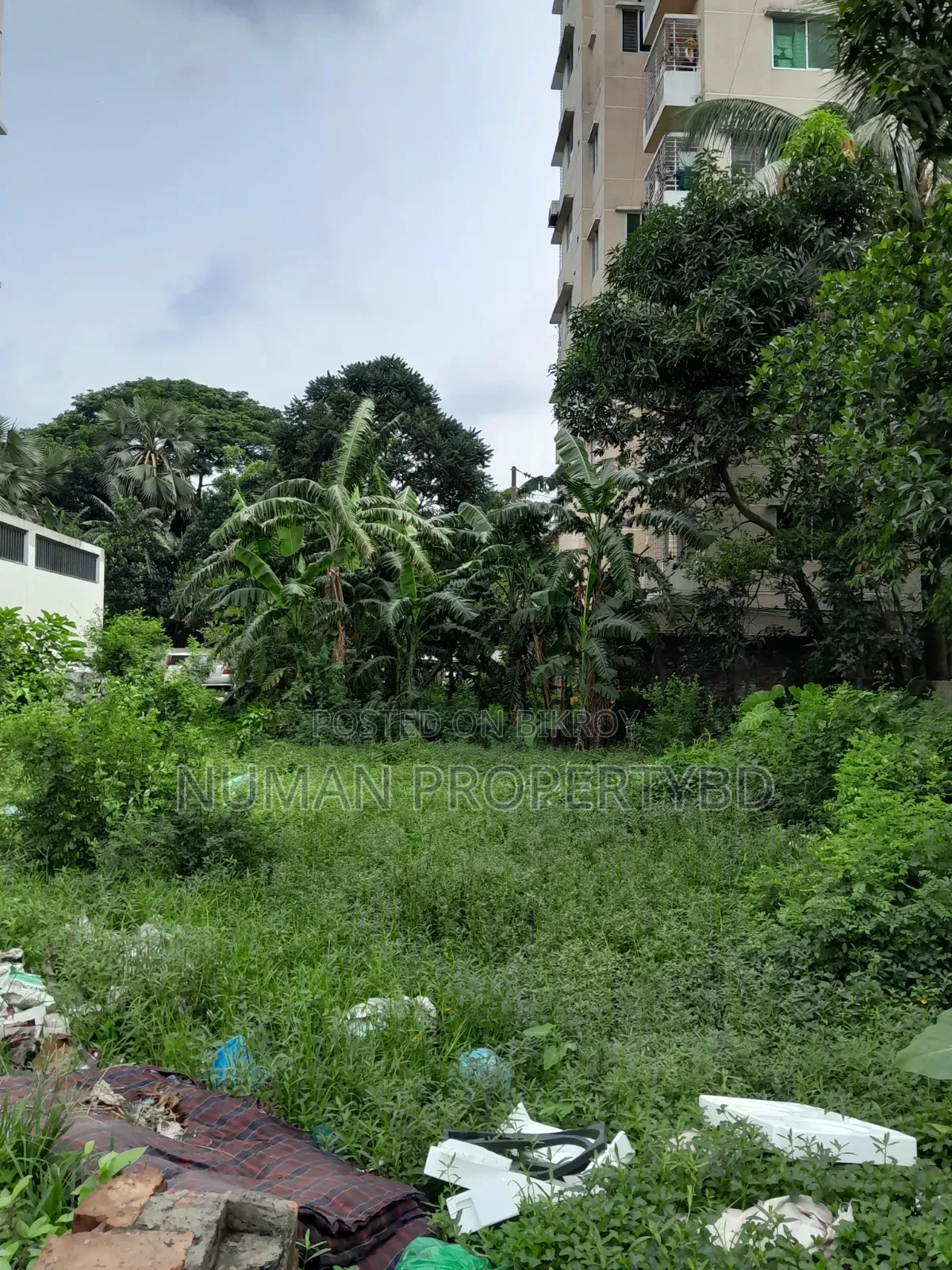 5 Katha South Facing Plot for Sale in Basundhara