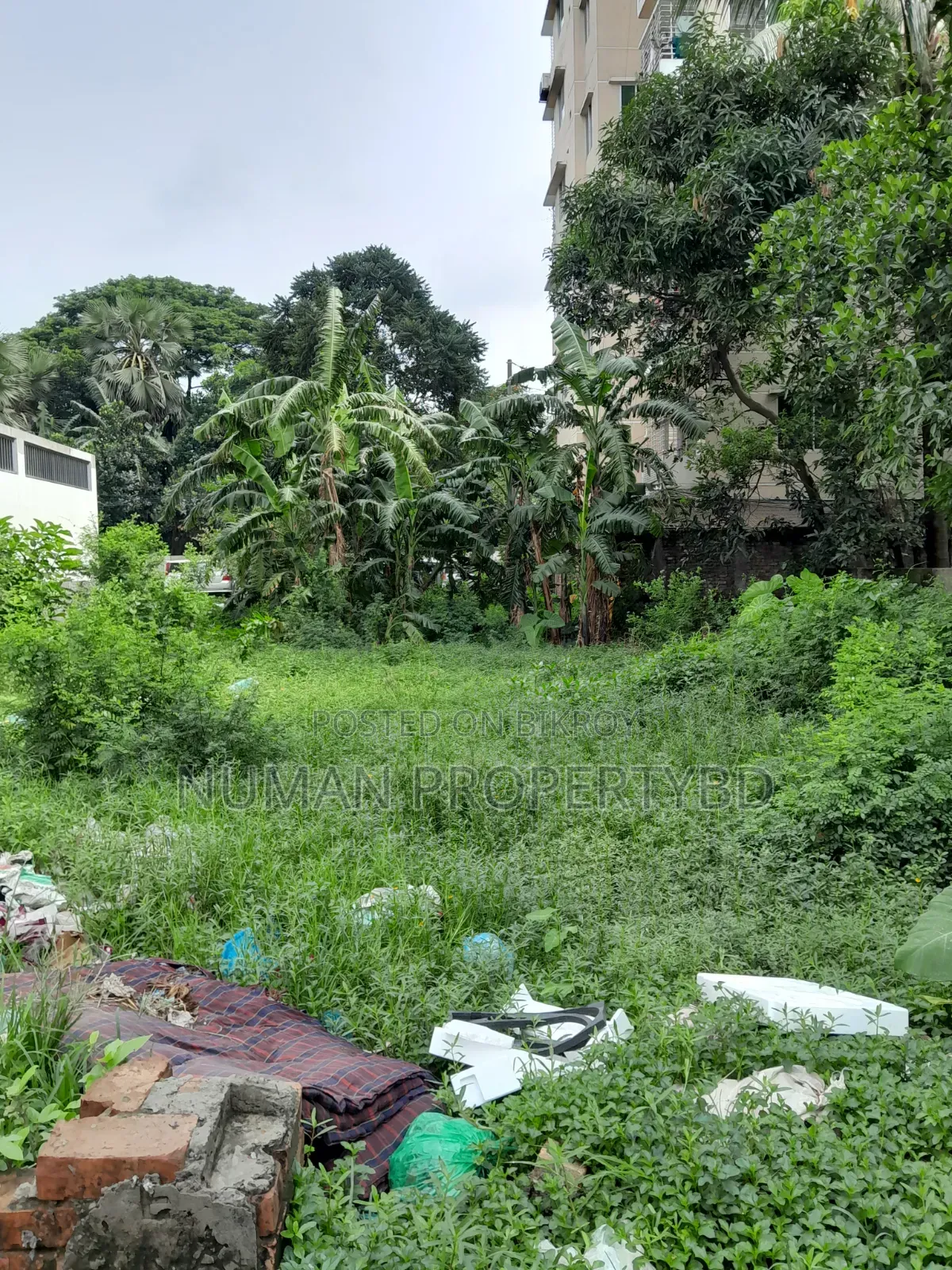 5 Katha South Facing Plot for Sale in Basundhara