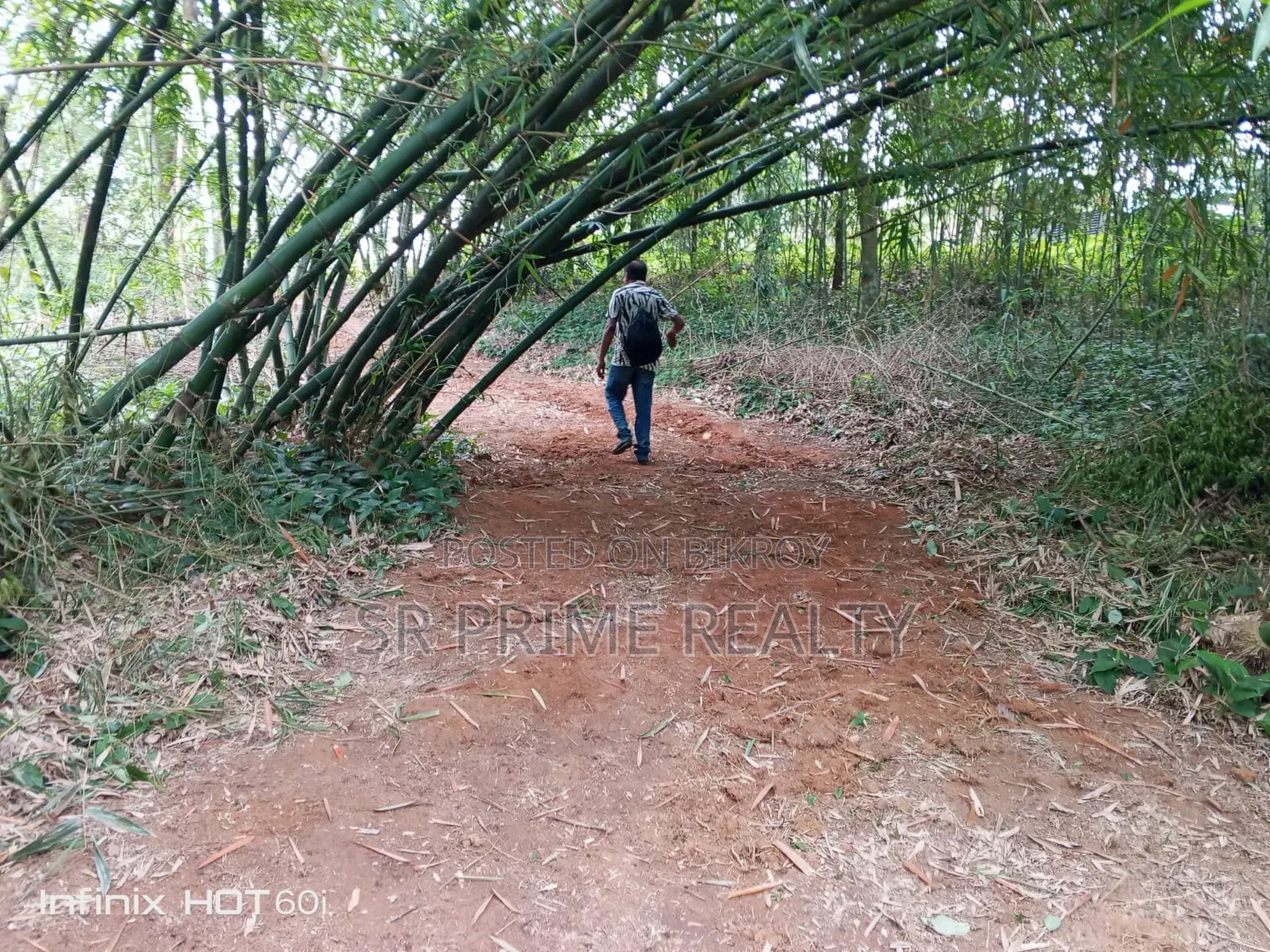 127 Decimal Land with Garden Beside 20 Feet Road - Kaliakair, Jathila in Kaliakair