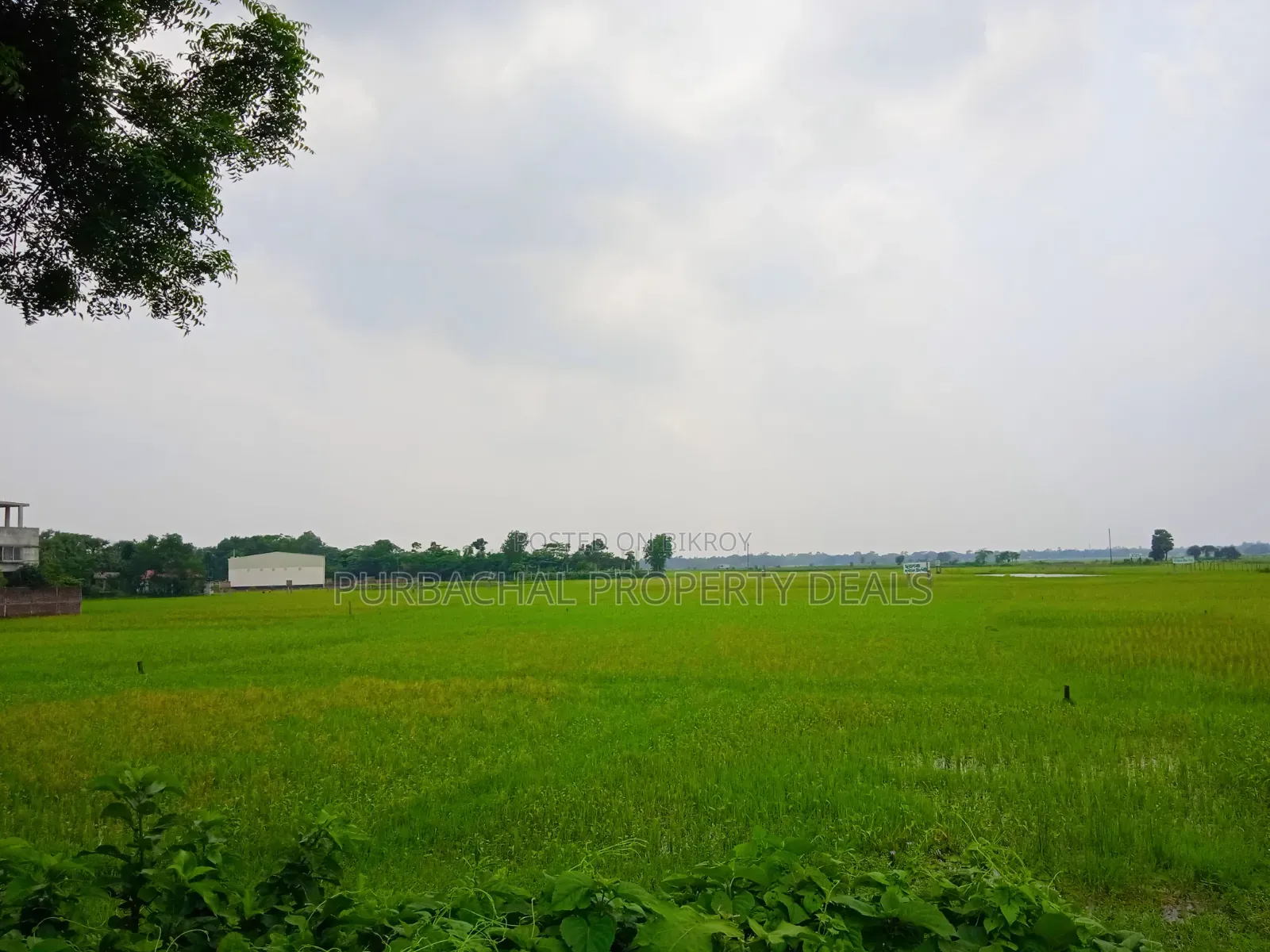 Huge Land for Sale for Mega Housing/Residential Project Adjacent to Purbachal in Purbachal