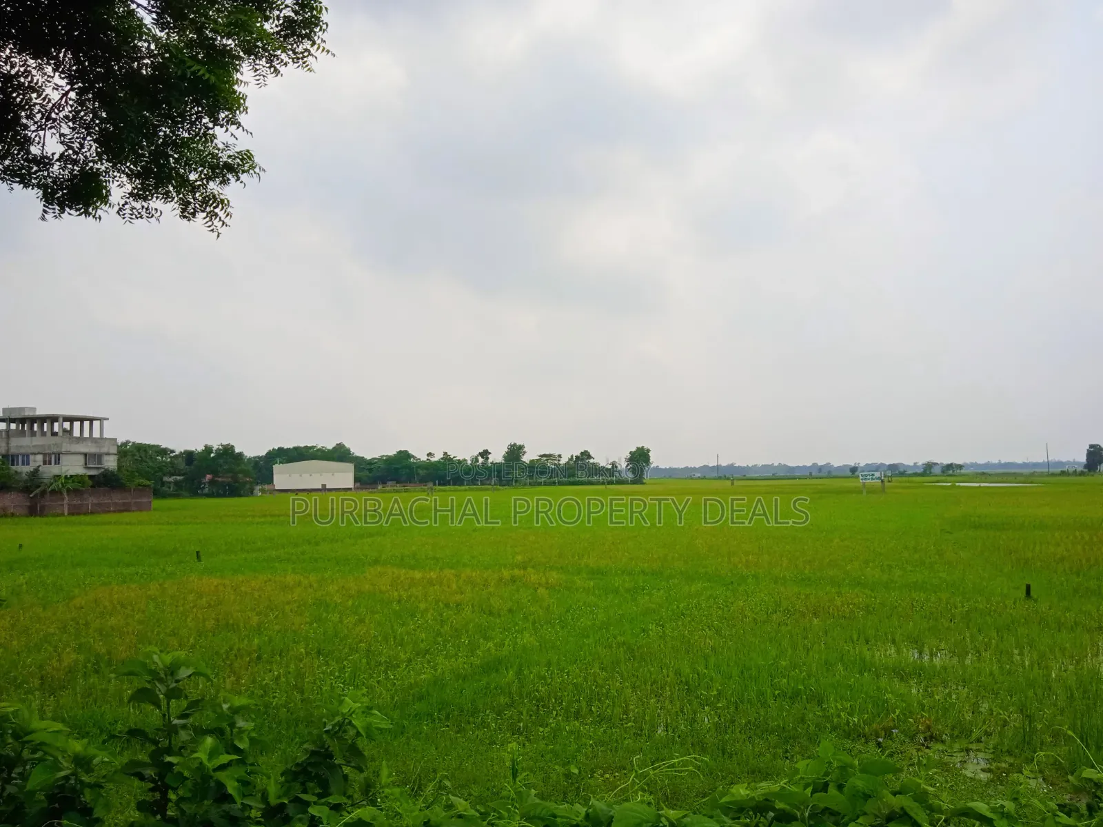 Huge Land for Sale for Mega Housing/Residential Project Adjacent to Purbachal in Purbachal