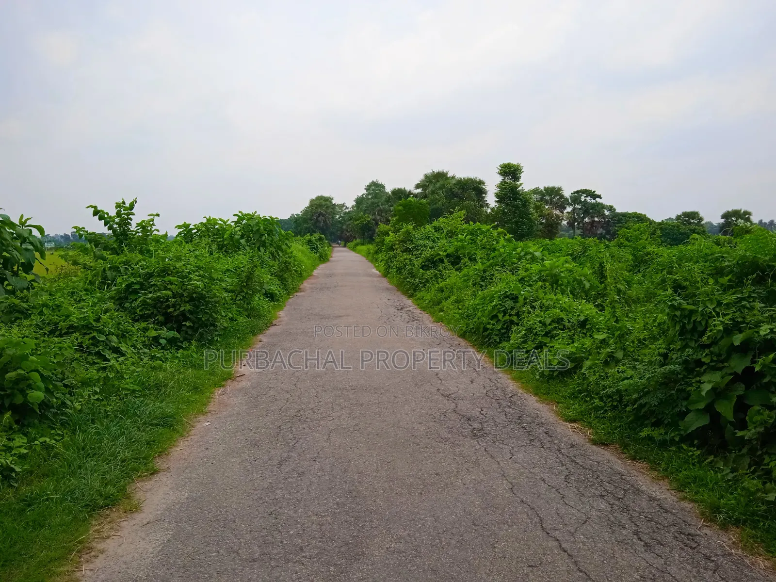 Huge Land for Sale for Mega Housing/Residential Project Adjacent to Purbachal in Purbachal