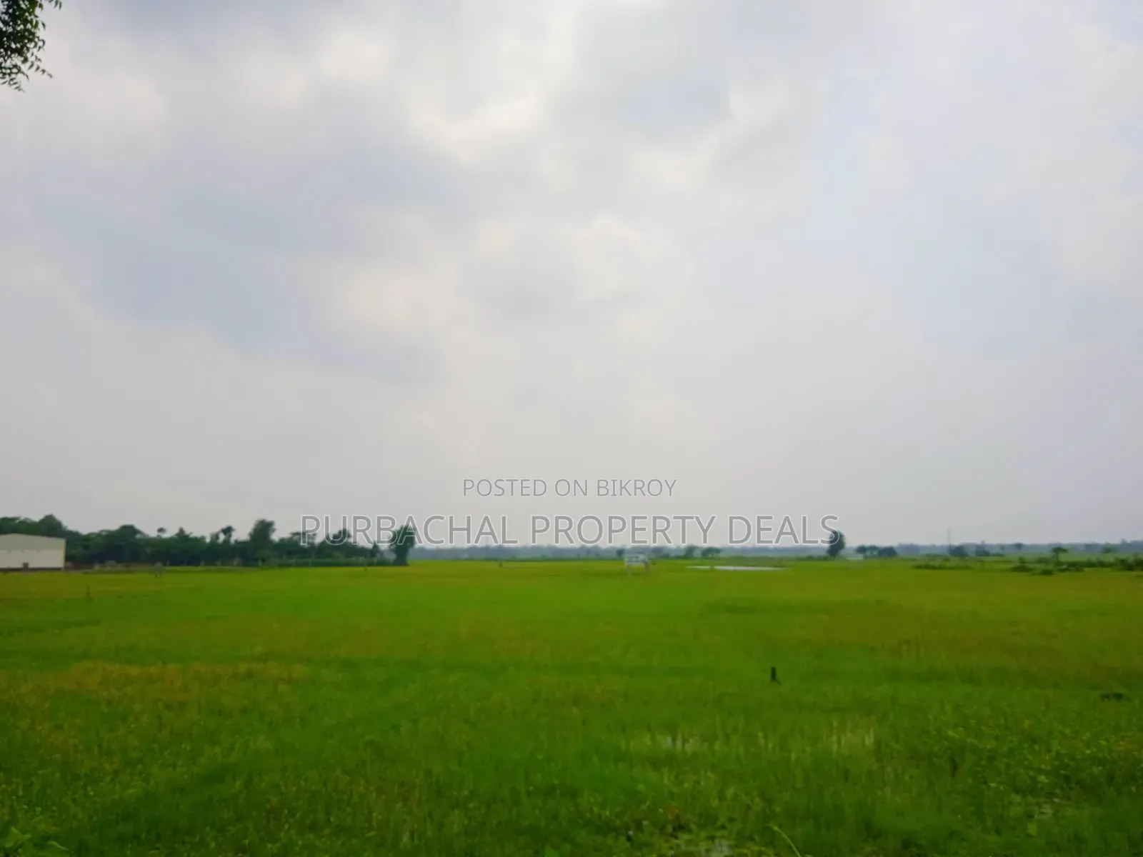Huge Land for Sale for Mega Housing/Residential Project Adjacent to Purbachal in Purbachal