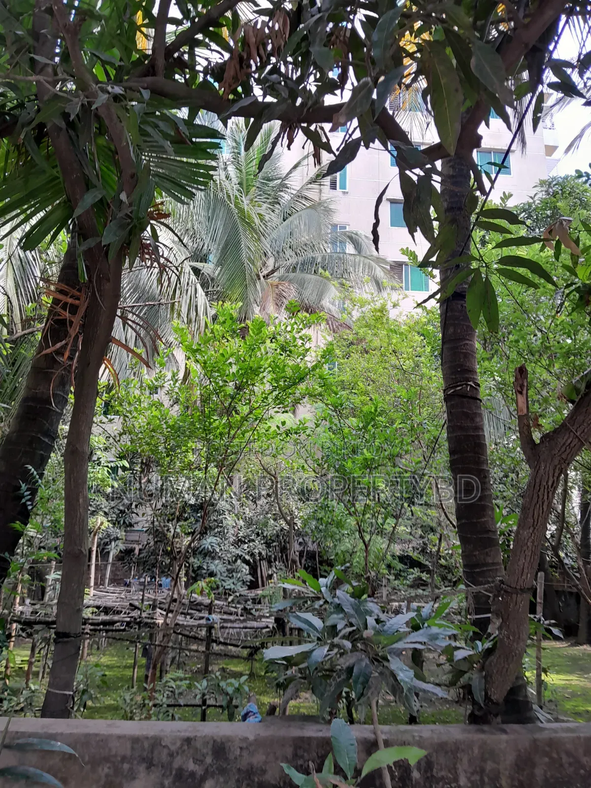 Bashundhara Residential Area E Block 03 Katha Plot for Sale in Basundhara