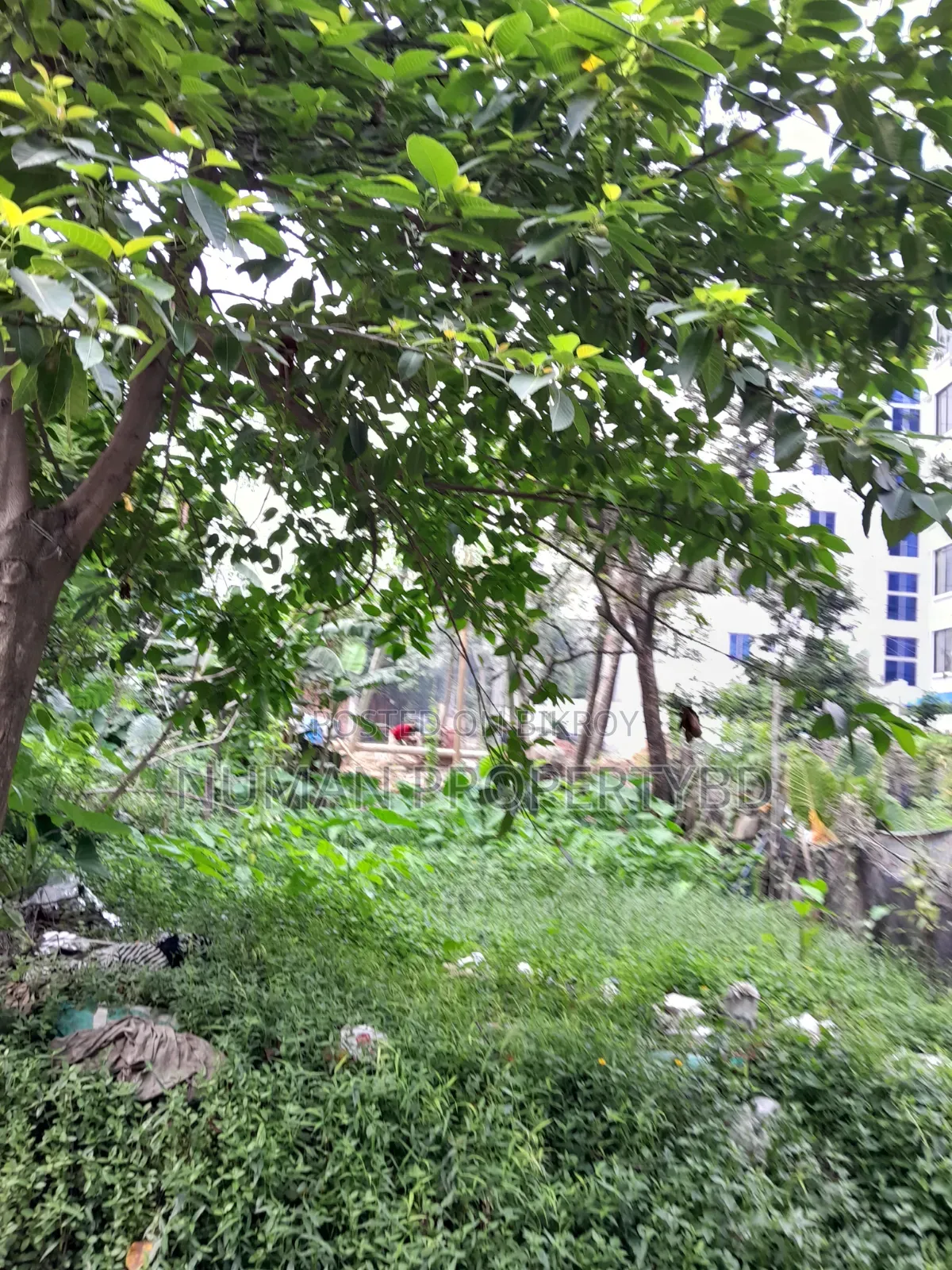 Bashundhara Residential Area E Block 03 Katha Plot for Sale in Basundhara