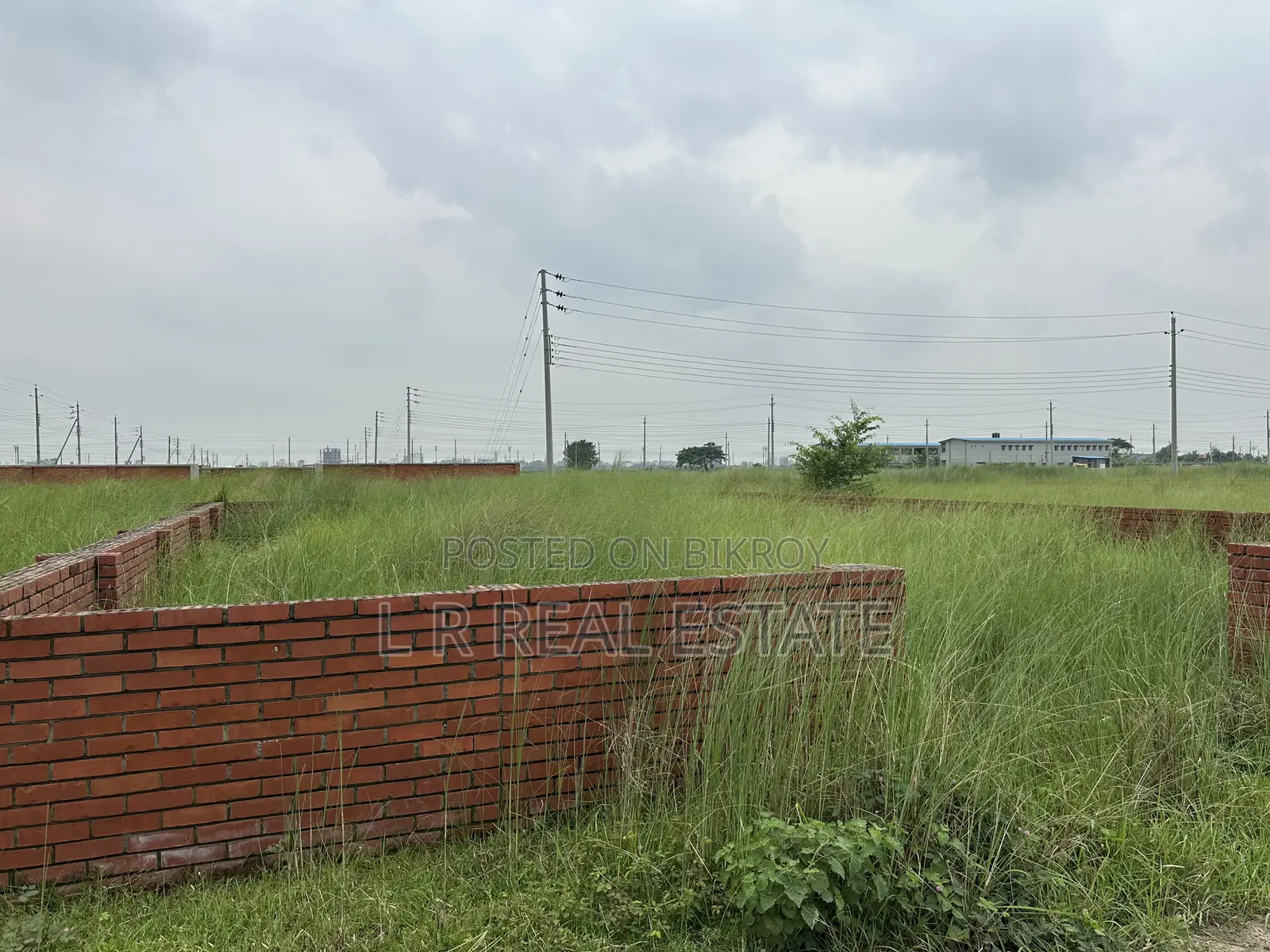 Block-P, 3-Katha, South-Facing, Plot Urgent Sale for Bashundhara R/A in Basundhara
