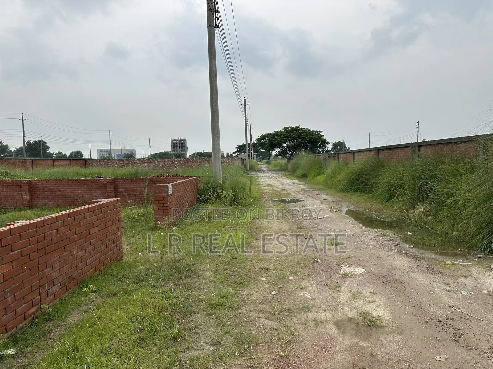 Block-P, 3-Katha, South-Facing, Plot Urgent Sale for Bashundhara R/A in Basundhara