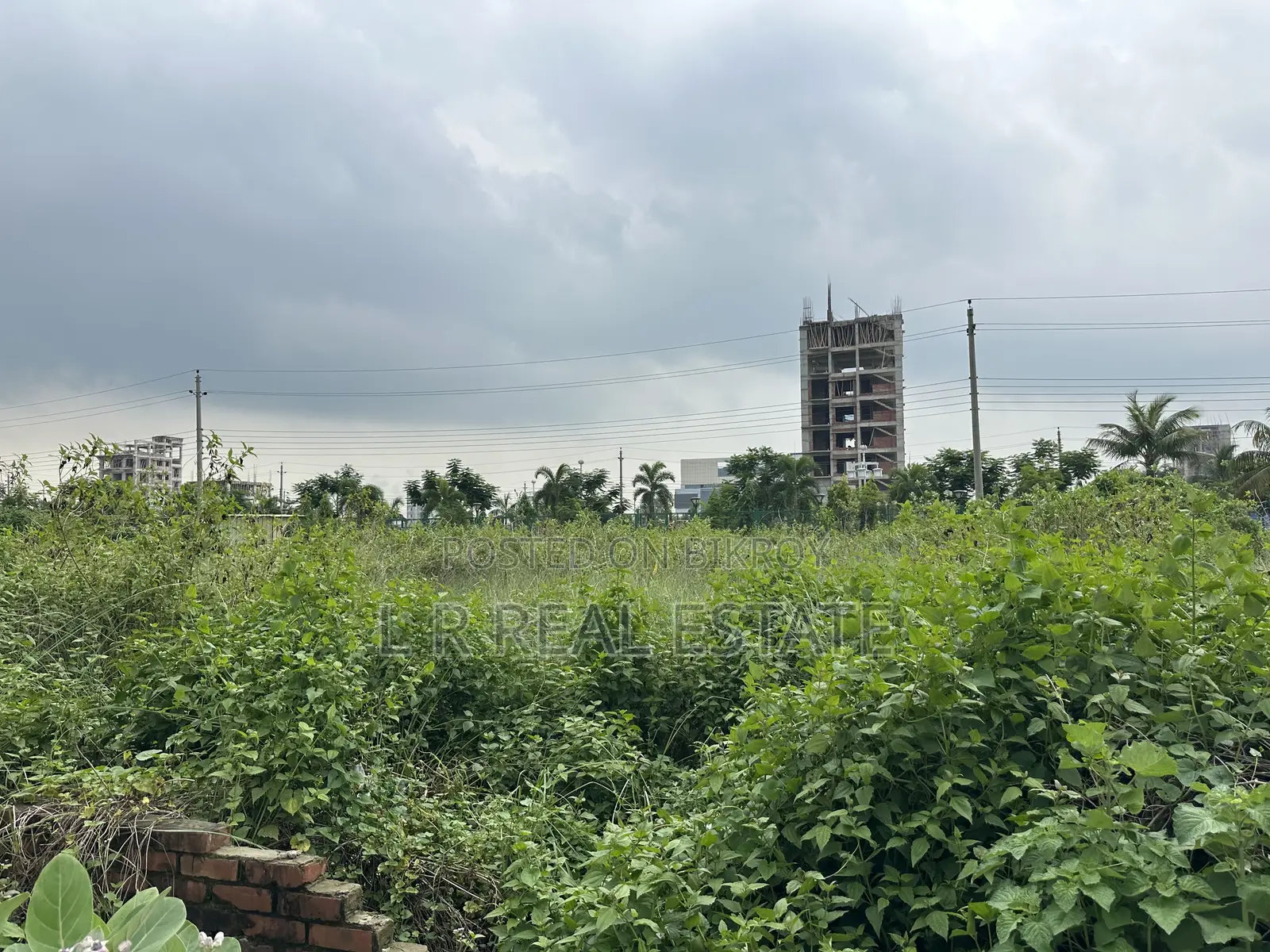 Block-N, 3-Katha, South-Face, Near Community Park, Bashundhara R/A in Bashundhara City