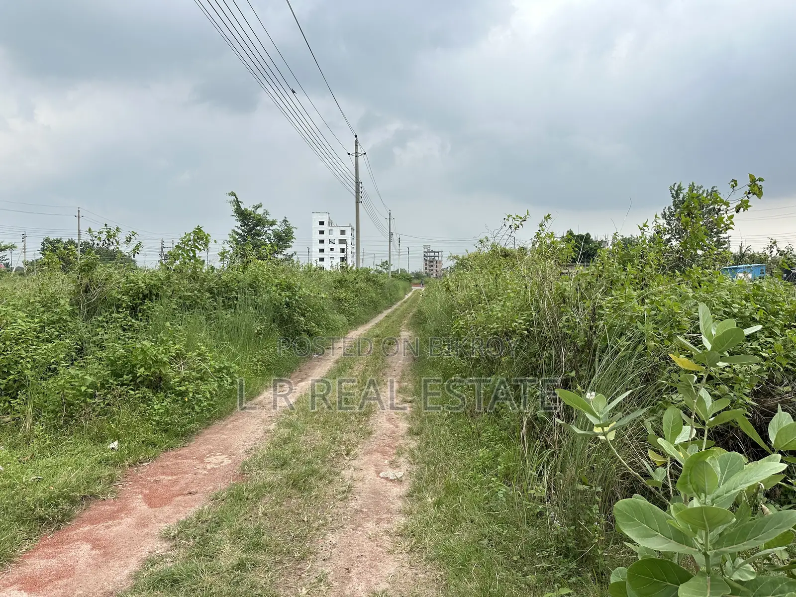 Block-N, 3-Katha, South-Face, Near Community Park, Bashundhara R/A in Bashundhara City