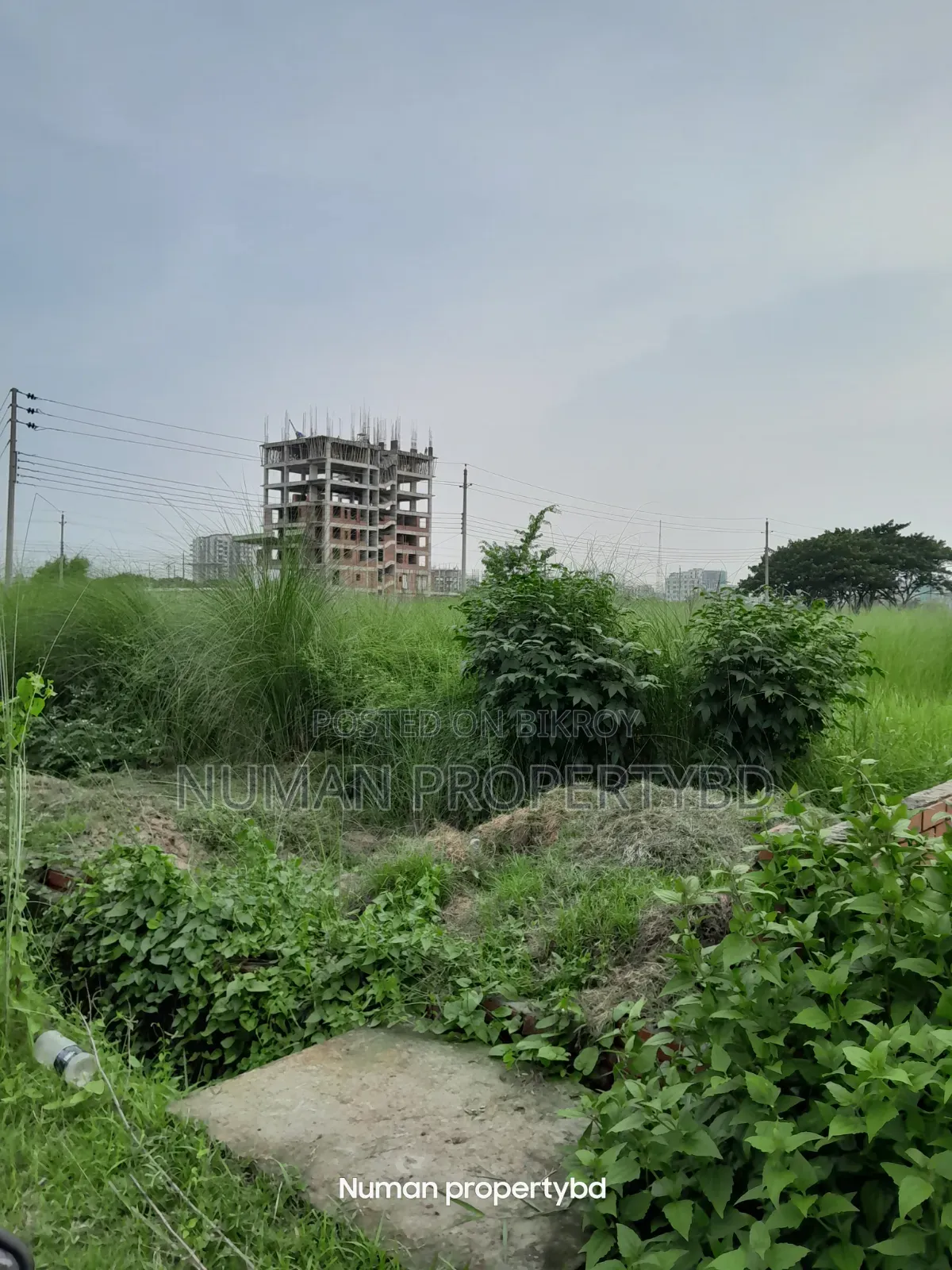 Bashundhara Residential Area 05 Katha Plot for Sale in Basundhara