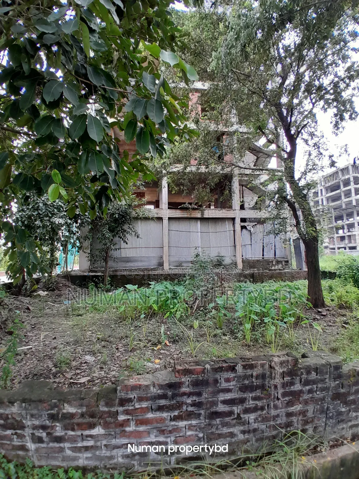 10 Katha South-facing Bashundhara Residential Area Plot for Sale in Basundhara