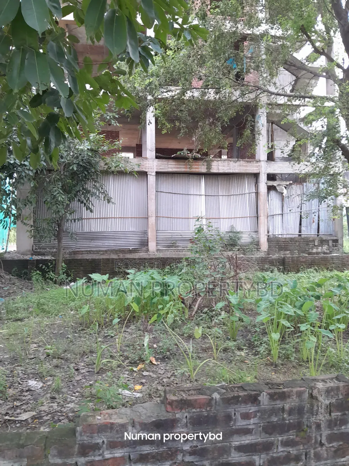 10 Katha South-facing Bashundhara Residential Area Plot for Sale in Basundhara