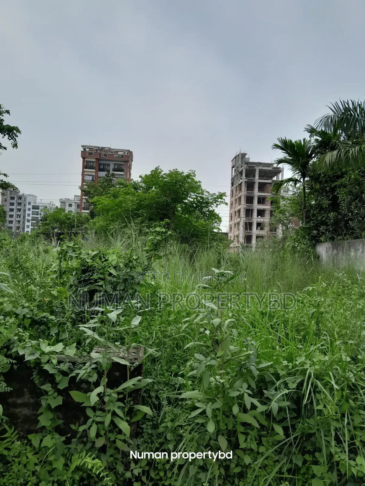 10 Katha South-facing Bashundhara Residential Area Plot for Sale in Basundhara