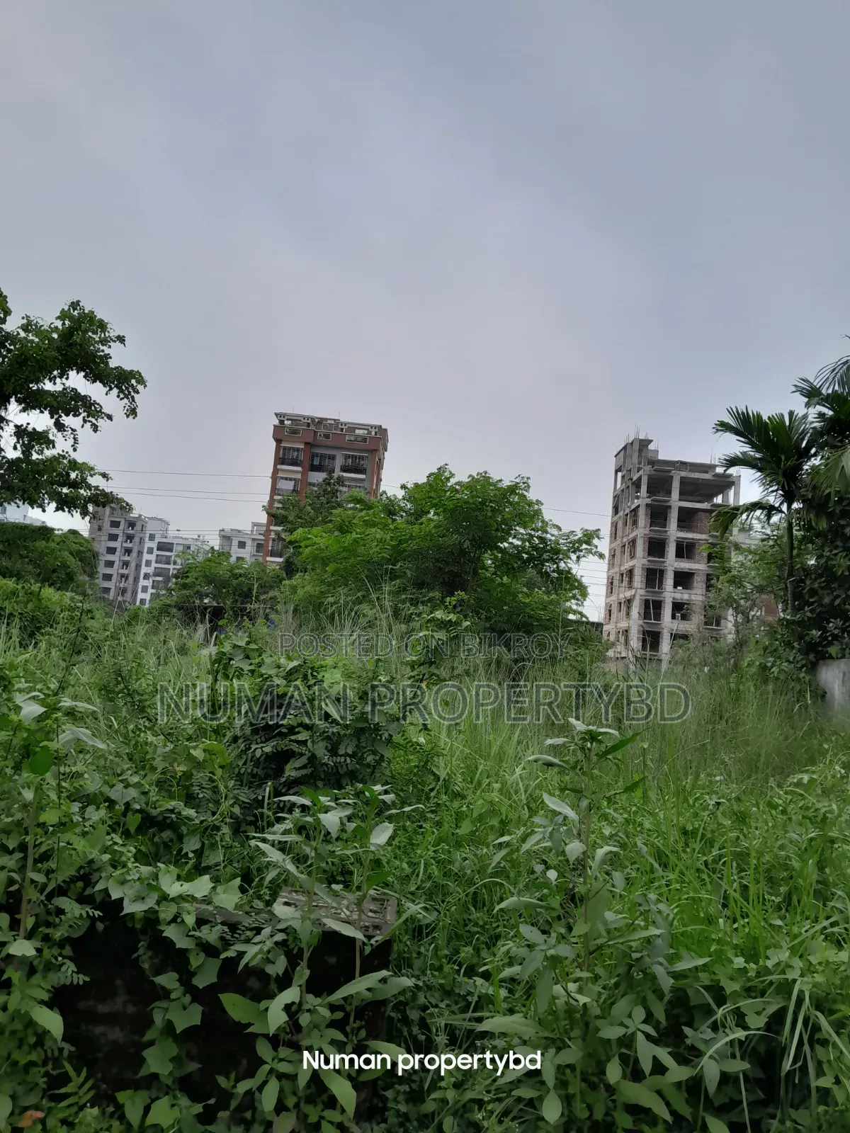 10 Katha South-facing Bashundhara Residential Area Plot for Sale in Basundhara