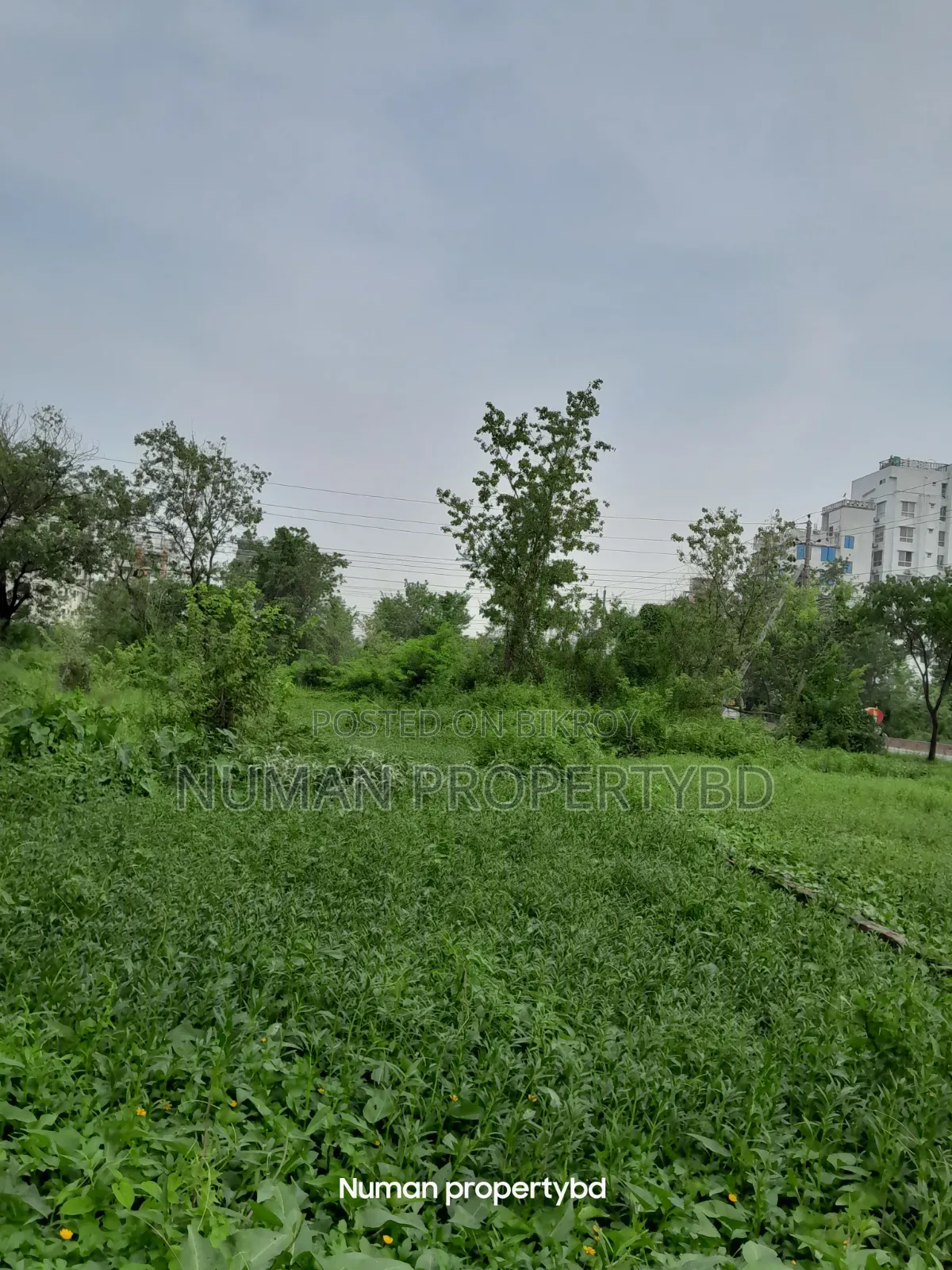 5 Katha South-facing Bashundhara Residential Area Plot for Sale in Basundhara