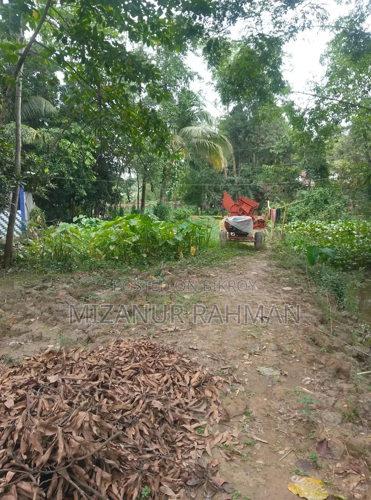 Urgent Land Sale | Ready for House Construction! in Golapganj