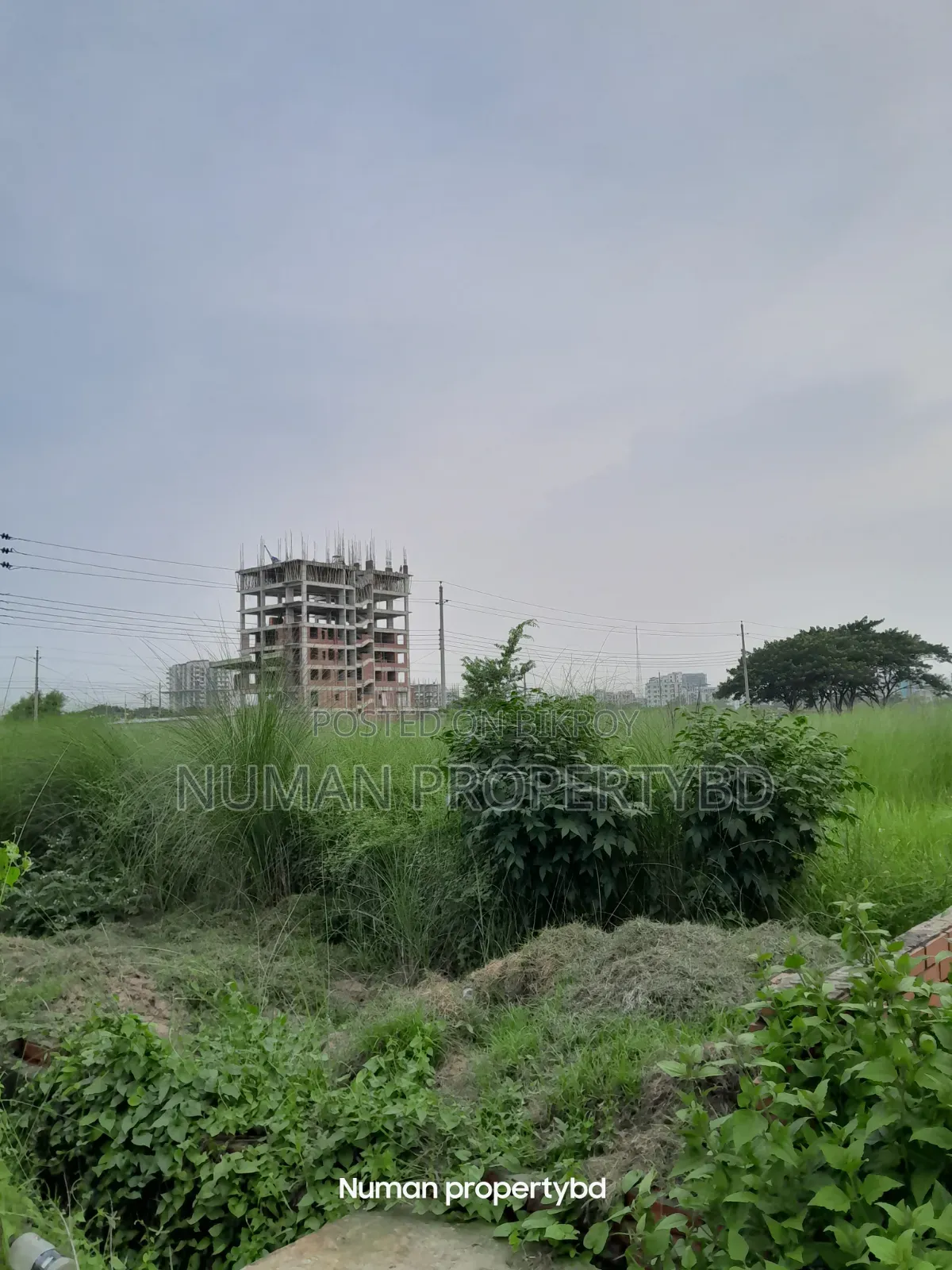 10 Katha South-facing Bashundhara Residential Area Plot For Sale in Basundhara