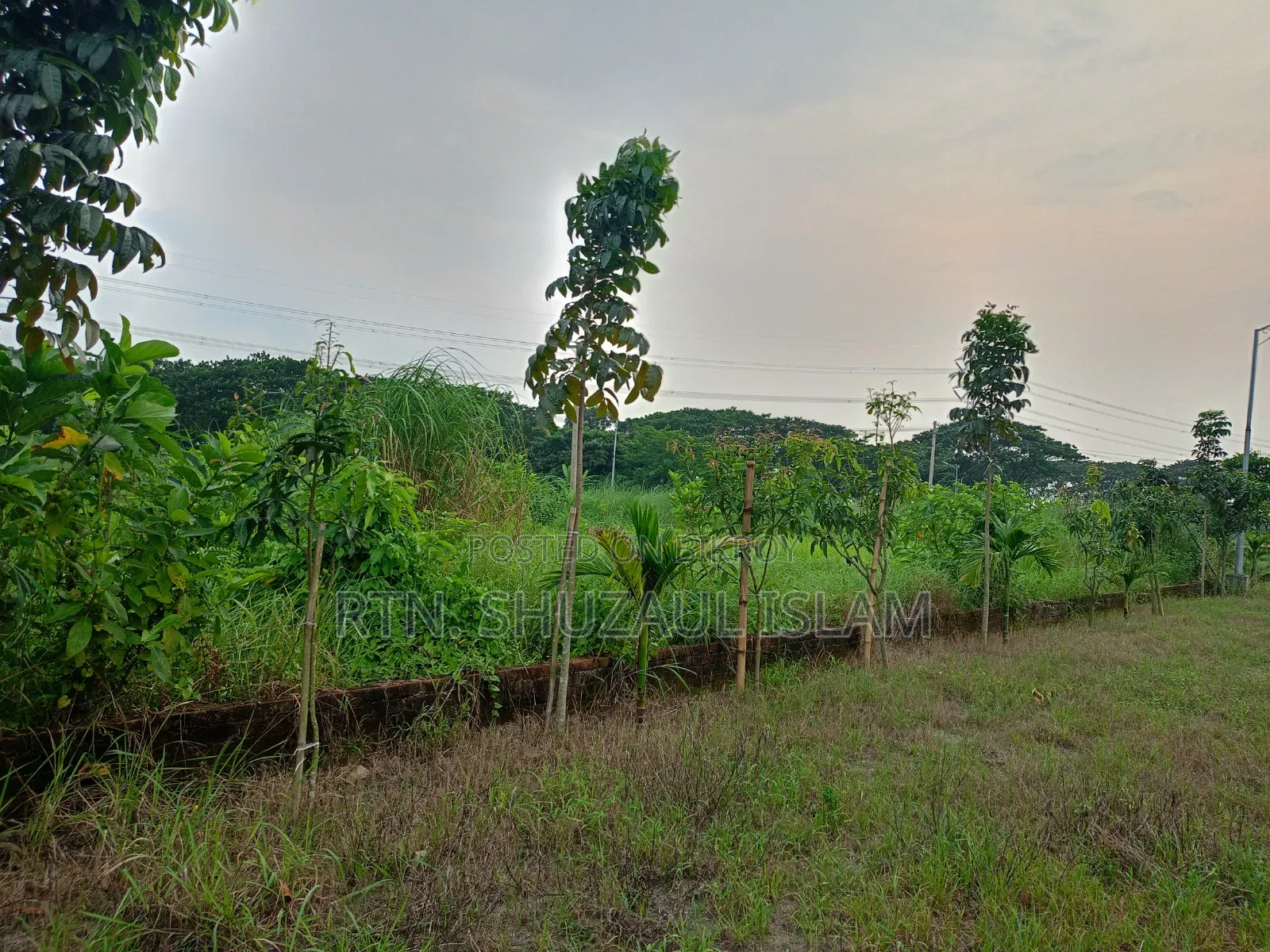 Ready Plot for Sale to Build a House Right Now in Savar
