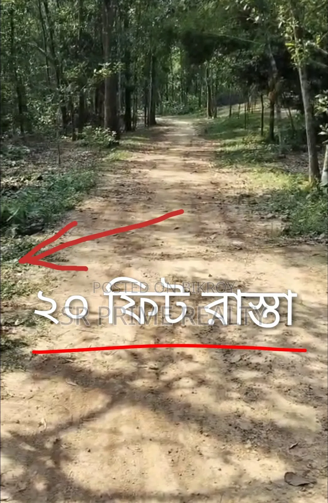 127 Decimal Land with Garden Beside 20 Feet Road - Kaliakair, Jathila in Kaliakair