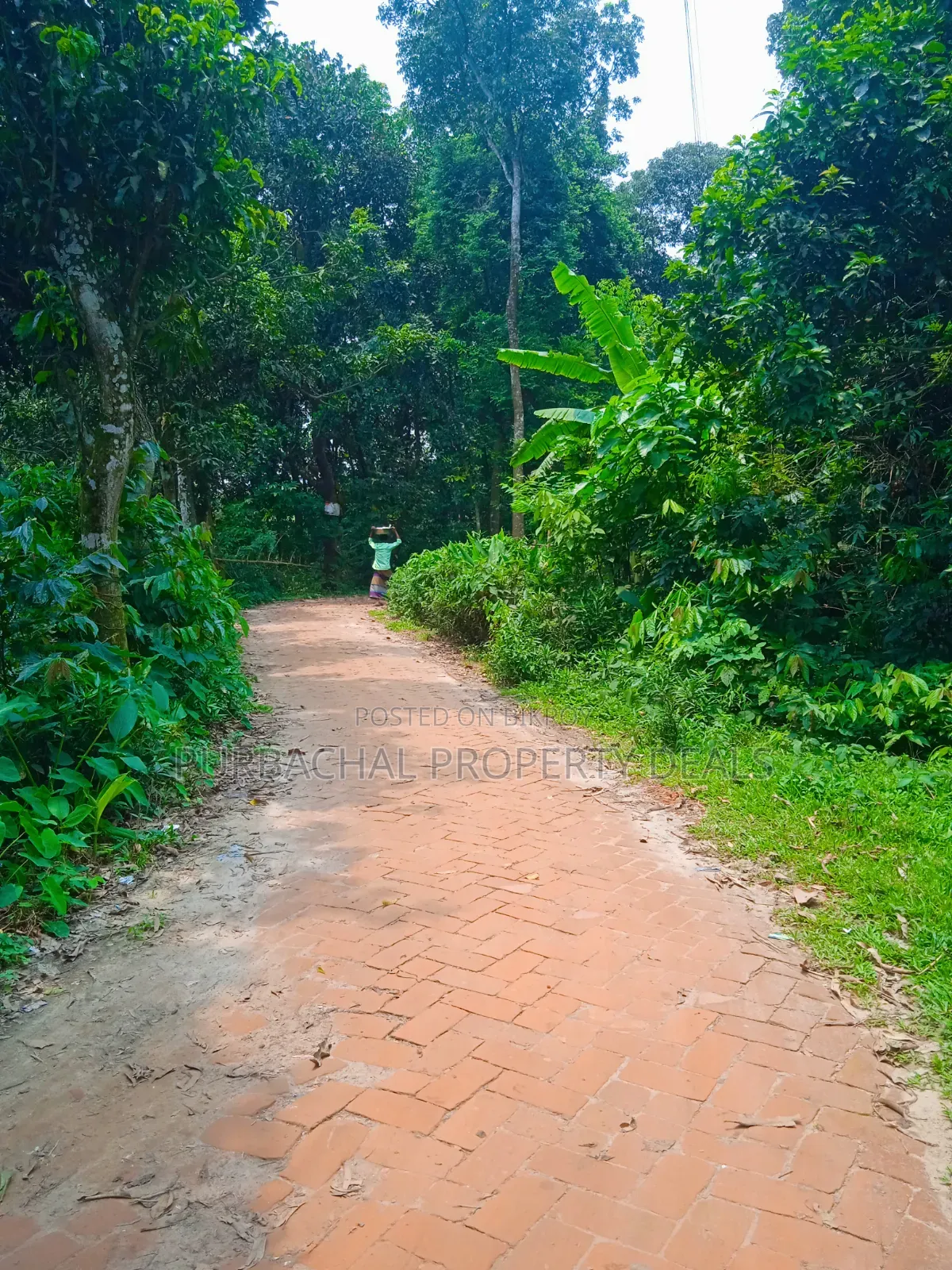 120 Decimal Premium Land for Sale Next to Bhuiyan Group Housing Project in Kaliganj