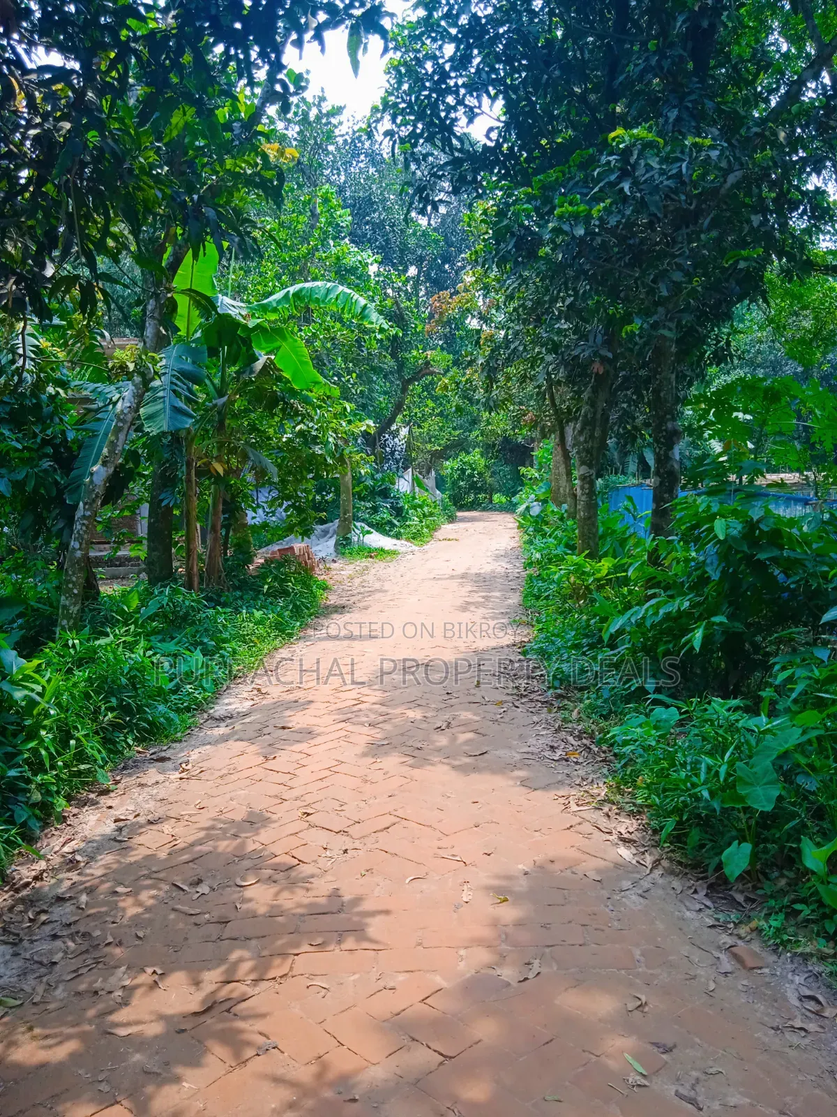 120 Decimal Premium Land for Sale Next to Bhuiyan Group Housing Project in Kaliganj