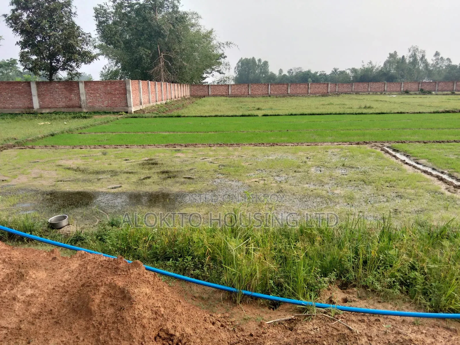 330 Katha Land Sale at Saidpur in Saidpur