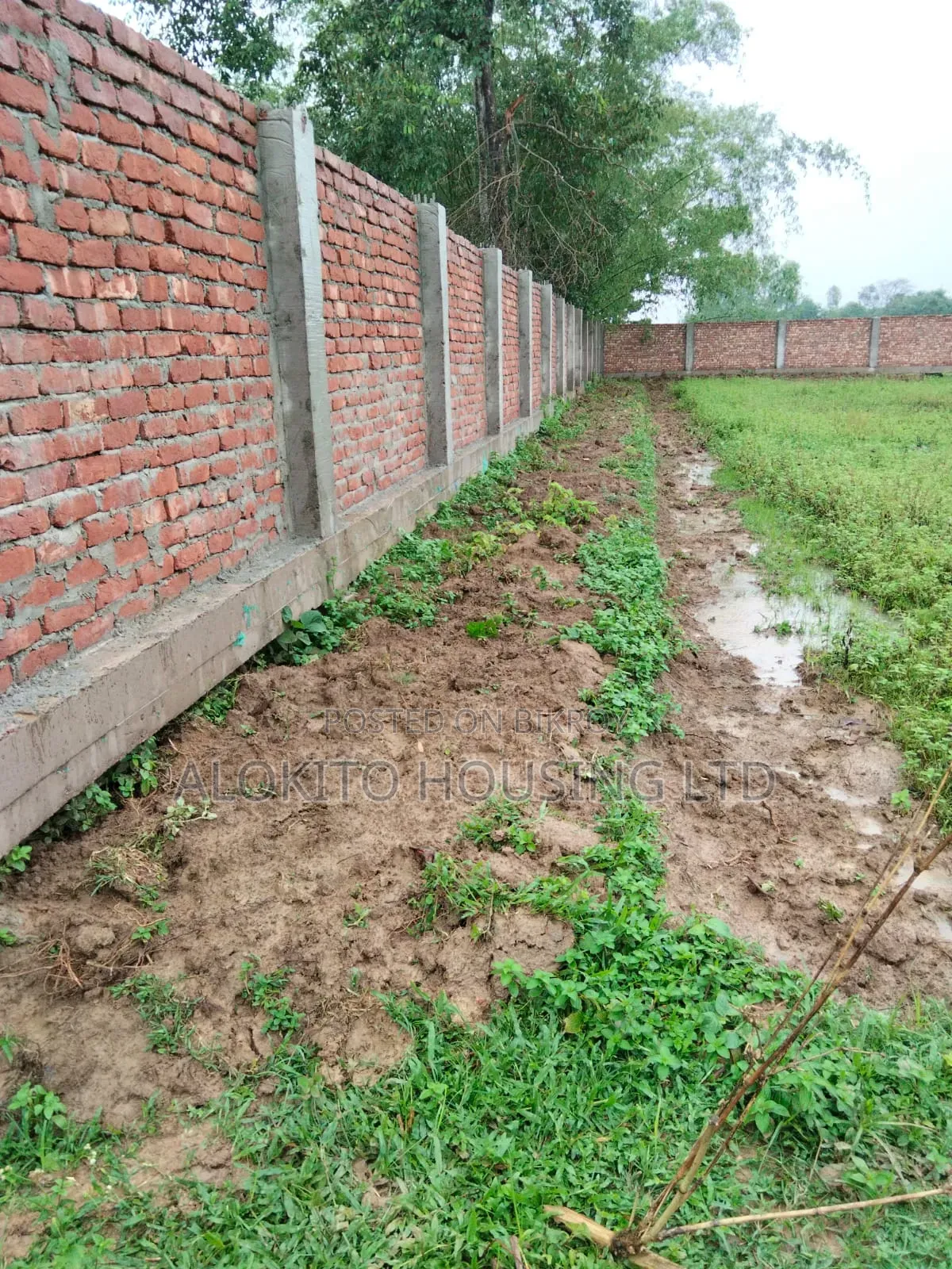 330 Katha Land Sale at Saidpur in Saidpur