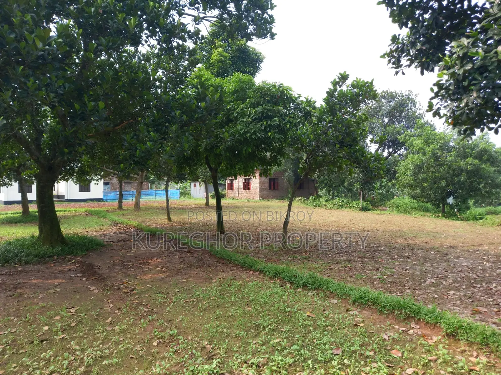 Are you interested in buying land in a very pleasant and hassle-free area in Savar? in Savar