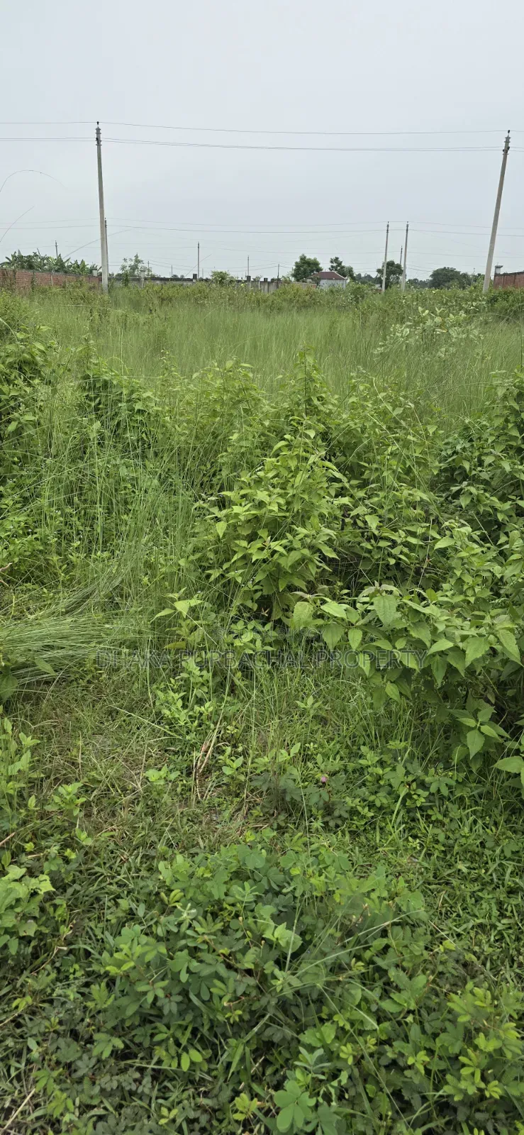 Sector-15, Road-403, Corner 5 Katha Plot for Sale in Purbachal