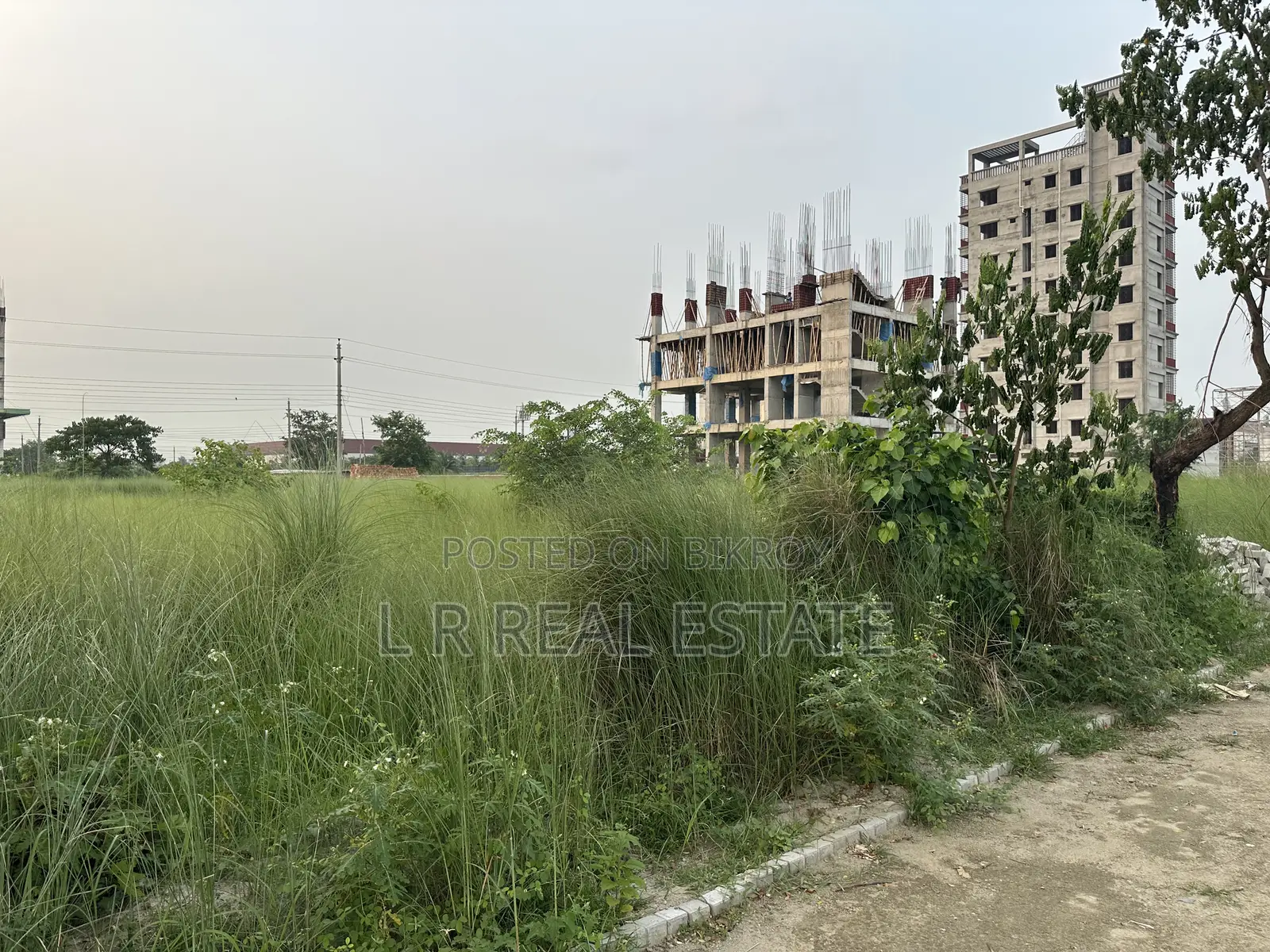 Block-N, 5-Katha, South-Facing, Urgent Sale, Bashundhara R/A in Basundhara