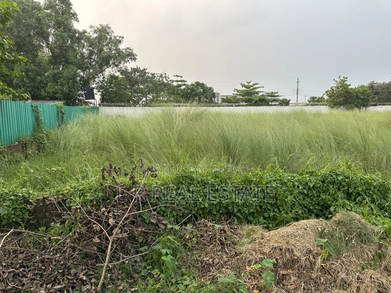 Block-N, 10 Katha, South-facing, Near Sports Complex, Bashundhara R/A in Basundhara